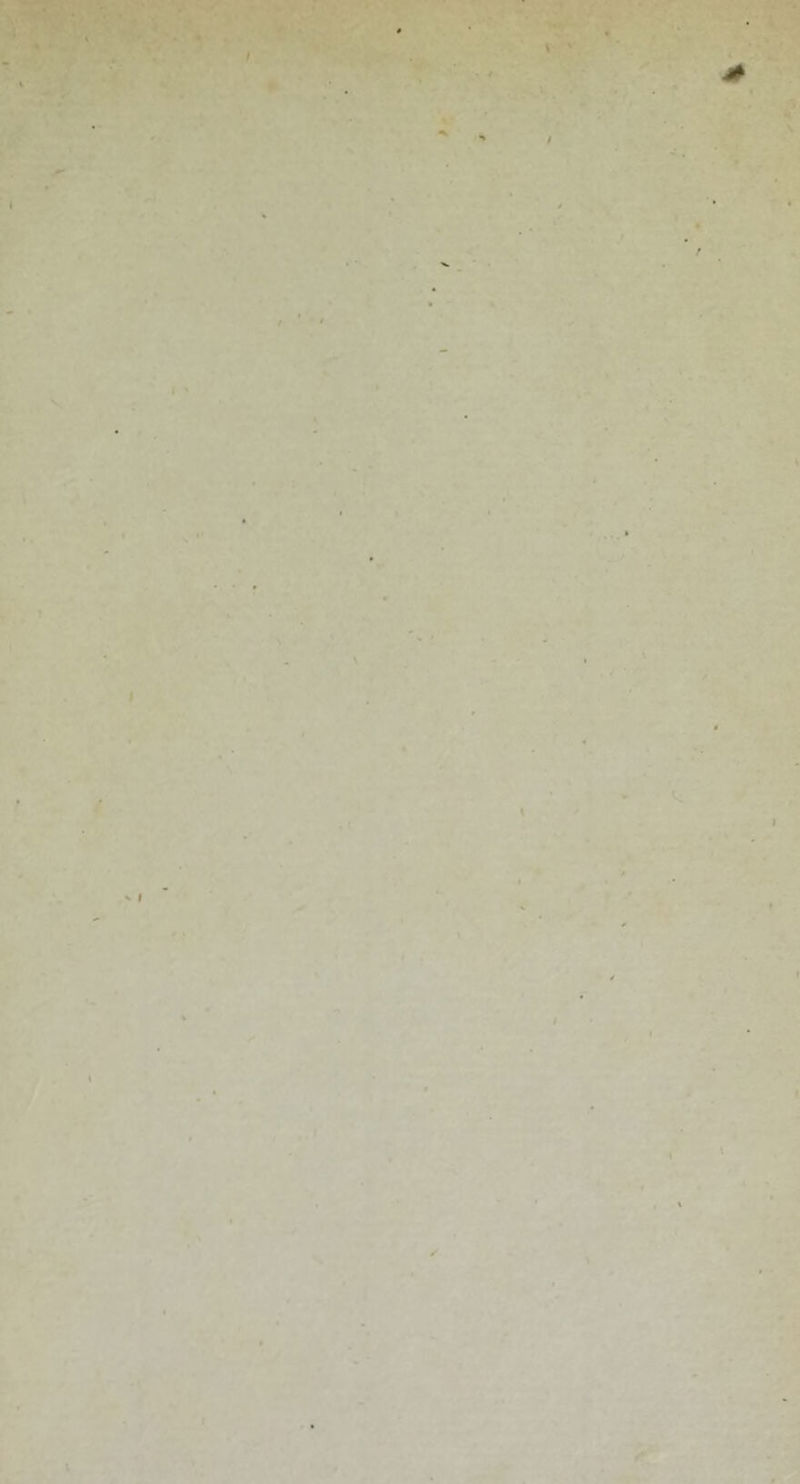 4 ' I / i I i’ . ' I V ^ I / 1 ✓ ■i I \