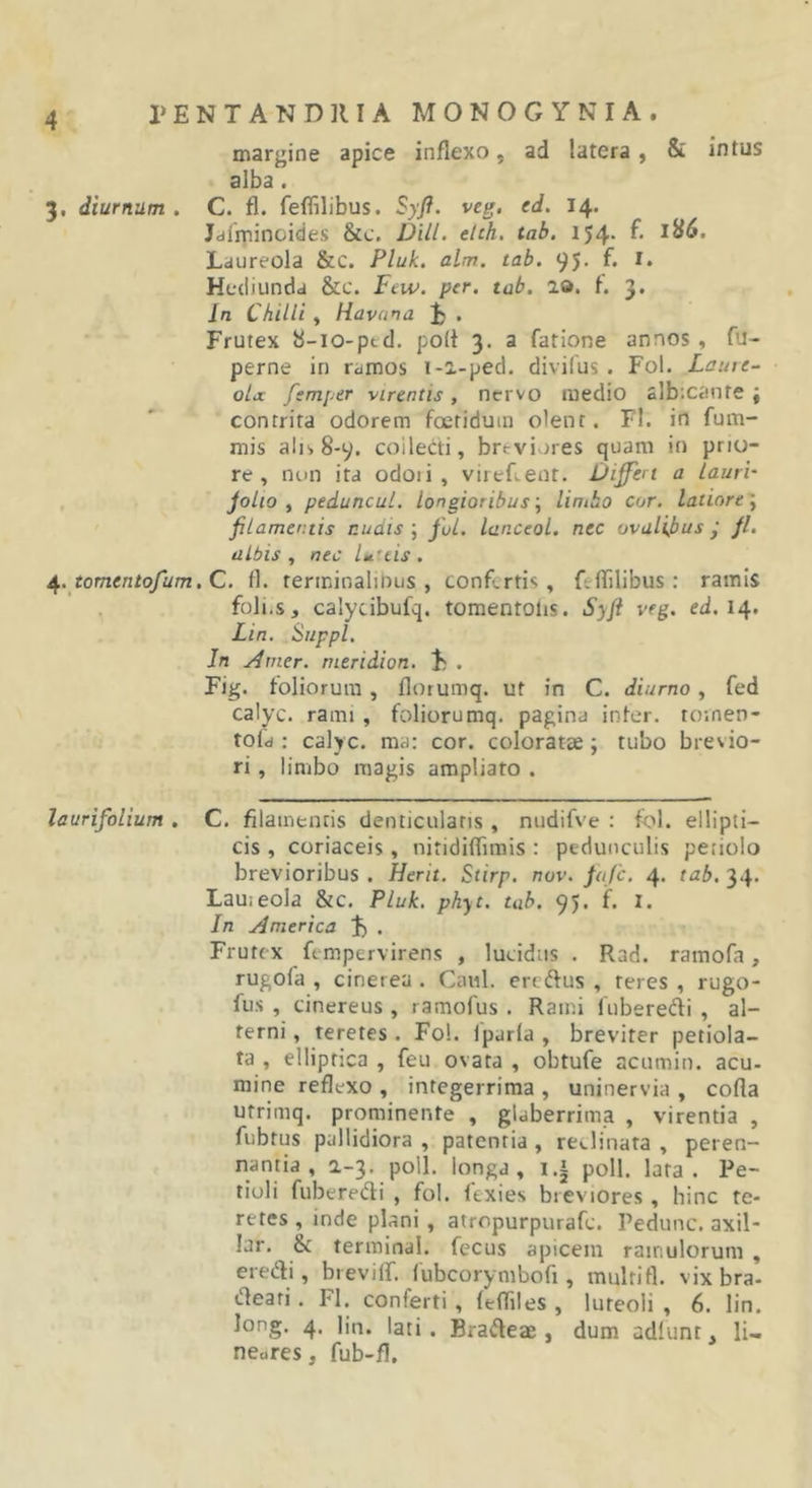 margine apice inflexo, ad latera, &amp; intus alba. 3, diurnum . C. fl. feflilibus. Syfl. veg. ed. 14. Jdiminoides &amp;c. Dill. etch, tab. 154. f. 1H6, Laureola &amp;C. Pluk. alm. tab, 95- f* Hediunda &amp;c. Few. per. tab. 20. t. 3. In Chilli , Havana p . Frutex b-io-ptd. po(t 3. a fatione annos, fu- perne in ramos 1-2-ped. divifus. Fol. Lame- oLx fsmper virentis, nervo medio albicante; contrita odorem foetidum olent. Fl. in fum- mis alis 8-9. coilecti, brfcvi^)res quam in prio- re, non ita odoii , vireflent. Differt a lauri' joLio , peduncul. longioribus •, liniho cor. latiore'^ filamentis nudis ; fol. lanceol. nec ovalibus y //. albis, nec lu'tis. ^.tomentofum.C. fl. terminalibus , confertis, feflilibus; ramis foli.s, calycibufq. tomentoiis. Syfi veg. ed. 14. Lin, Suppi. Jn Amer, nieridion. F . Fig. foliorum , florumq. ut in C. diurno, fed calyc. rami , foliorumq. pagina inter, toinen- tofd : calyc. ma: cor. coloratae; tubo brevio- ri , limbo magis ampliato . laurifolium , C. filamentis denticulatis , nudifve : fol. ellipti- cis , coriaceis , nitidiflTimis : pedunculis petiolo brevioribus . Herit. Stirp. nov. fiijc. 4. tab. 34. Lauieola &amp;c. Pluk. phyt. tab. 95. f. 1. In America F • Frutex fempervirens , lucidus . Rad. ramofa, rugofa , cinerea . Caul. ereftus , teres , rugo- fus , cinereus , ramofus . Rami fuberedi , al- terni , teretes. Fol. iparia , breviter petiola- ta , elliptica , feu ovata , obtufe acumin. acu- mine reflexo , integerrima , uninervia , cofla ufriniq. prominente , glaberrima , virentia , fubtus pallidiora , patentia , rcelinata , peren- nantia , 2-3. poli, longa, i.i poli. lata. Pe- tioli fuberedi , fol. texies breviores, hinc te- retes , inde plani , atropurpurafe. Pedunc. axil- lar. &amp; termina!, fecus apicem ramulorum , ereifli, bievilf. (ubcorymbofi, multifl. vix bra- efleati. FI. conferti, fefliles , luteoli , 6. lin. long. 4. lin. lati. Bradeae , dum adiunt, IU neores, fub-fl.