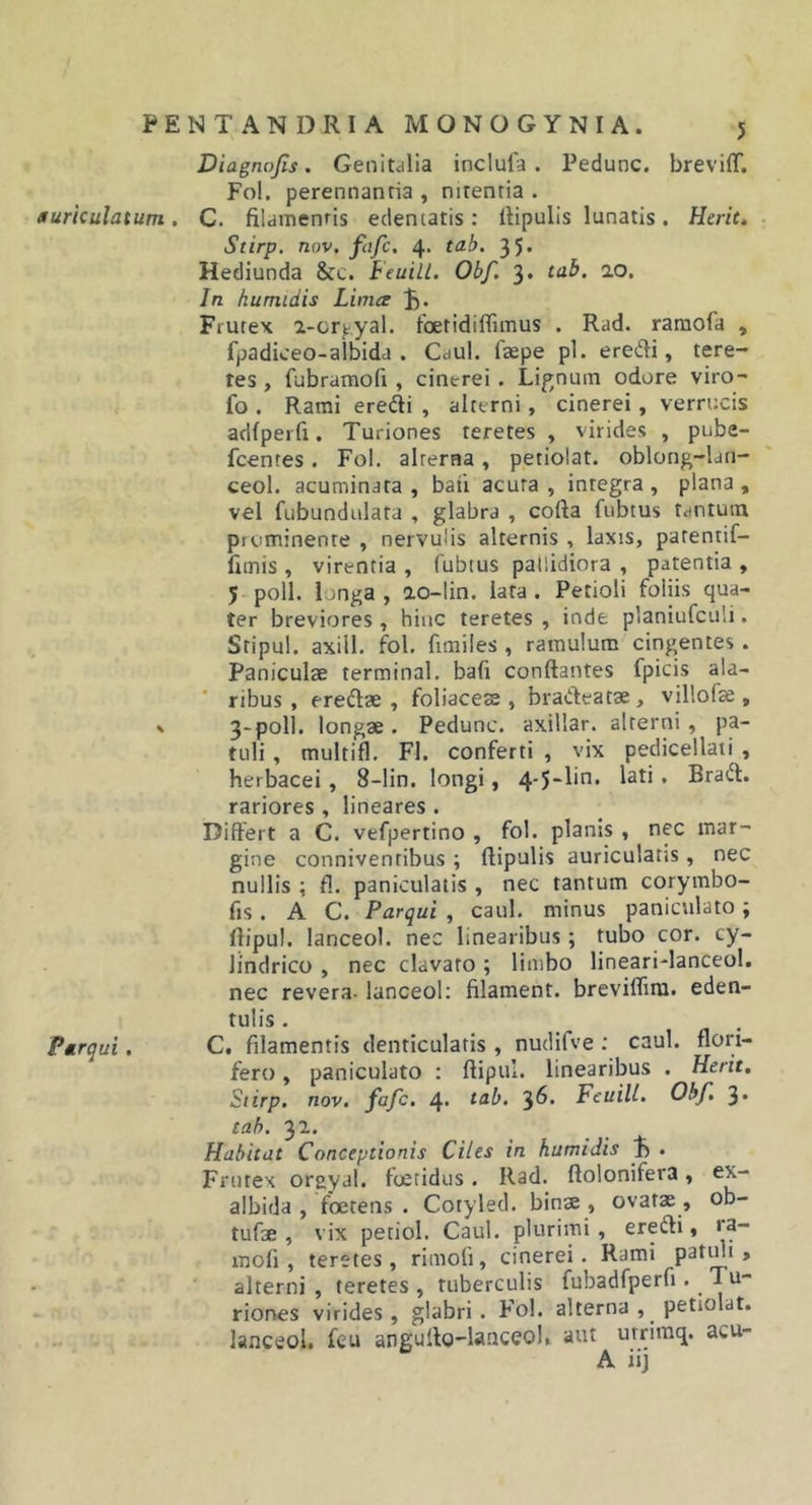 PE auricula tum . Parqui. NTANDRIA MONOGYNIA. 5 Diagnojis. Genitdlia inclufa. Pedunc. breviff. Fol. perennantia , nitentia . C. filamentis edentatis: fiipulis lunatis. Herit» ■ Stirp, nov. fafc. 4* 35* Hediunda Scc. Feuill. Obf. 3, tab. ao. In humidis Limer j). Frutex z-cr^yal. foetidiffimus . Rad. ramofa , fpadiceo-albida . Caul. Izepe pl. eredi, tere- tes , fubramofi , cinerei . Lif^nuin odore viro- fo . Rami eredi , alterni, cinerei, verrucis adfperfi. Turiones teretes , virides , pube- fcentes. Fol. alterna, petiolat. oblong-lan- ceol. acuminata , baii acuta , integra , plana , vel fubundulata , glabra , cofta fubtus tantum prominente , nervulis alternis , laxis, patentif- fimis , virentia , fubtus pallidiora , patentia , 5 poli, longa , ao-lin. lata . Petioli foliis qua- ter breviores , hinc teretes , inde planiufculi. Stipul. axill. fol. firailes , ramulum cingentes. Paniculae terminal. bafi conflantes fpicis ala- ribus , eredae , foliaceae, bradeatae, villofae, 3-polI. longae. Pedunc. axillar. alterni, pa- tuli , multifl. FI. conferti , vix pedicellati , herbacei, 8-lin. longi, 4-5-lin. lati. Brad. rariores , lineares . Differt a C. vefpertino , fol. planis , nec mar- gine conniventibus ; flipulis auriculatis, nec nullis ; fl. paniculatis , nec tantum corymbo- fis. A C. Parqui , caul. minus paniculato; flipul. lanceol. nec linearibus; tubo cor. cy- lindrico , nec clavato; limbo lineari-lanceol. nec revera, lanceol: filament. breviflim. eden- tulis . C. filamentis denticulatis , nudifve ; caul. flori- fero , paniculato : flipul. linearibus . Herit, Stirp, nov, fafc, 4* 36. Feuill, Ohf. 3« tab. 31. Habitat Conceptionis Ciles in humidis IS • Frutex orgyal. foetidus. Rad. flolonifera, ex- albida , foetens . Cotylecl. binae , ovatae, ob- tufae , vix petiol. Caul. plurimi, eredi, &gt;a- mofi , teretes, rimofi, cinerei. Rami patuli, alterni , teretes , tuberculis fubadfperfi. ^ Tu- riones virides, glabri. Fol. alterna , petiolat. lanceol. feu anguflo-lanceol» aut urrimq. acu-