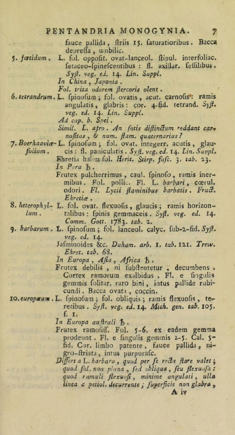 fauce pallida, Hriis 15. faturatioribus. Bacca deprefia , umbilic. ^.fatidurrit L, fol. oppofit. ovar-lanceol. ftipul. inrerfoliac. fetaceo-fpinefcentibus ; fl. axillar, felfilibus. Syfl. veg. ed. 14. Lin. SuppL. In China , JapOnia . Fol, trita odorem fiercoris olent, 6. tetrandrum,L. fpi no fu m ; fol. ovatis, acut. carnofis*: ramis angulatis, glabris: cor. 4-fid. tetrand. Syji, veg. ed. 14* Lin. Suppi. Ad cap. b. Spei, Simii. L. afro . An fatis difiinSum reddant car* nofitas , &amp; num. jiam, quaternarius? J.Boerhaavice-lL. fpinofum; fol, ovat, integerr. acutis, glau- folium , cis : fl. paniculafis . Syji. veg. ed. 14. Lin. Suppi, Ehreria halitudbl. Herit. Stirp. fafc. 3. tab. 23. In Peru 1) . Frutex pulcherrimus, caul. fpinofo, ramis iner- mibus . Fol. polii.. Fl. L. barbari, ccerul, odori. Fl. Lycii ftaminibus barbatis. FruB, Ekrctia . 8. heteropkyl- L. fol. ovat, flexuofls, glaucis ; ramis horizon- lum . talibus: fpinis gemmaceis . Sy^, veg. ed, 14. Comm. Gott. 17^3« inb. 1. 9. barbarum. L. fpinofum; fol. lanceol. calyc. fub-2-fid. Syji, veg. ed. 14. Jafminoides &amp;c. Duham, arb. t. tab. l^l. Trew, Ehret. tab. 68. In Europa ^ Ajia , Africa . Frutex debilis , ni fubflentetur , decumbens • Cortex ramorum exalbidus . Fl. e fngulis gemmis folitar. raro bini, intus pallide rubi- cundi . Bacca ovata , coccin. 10. europaum ,L. fpinofum; fol. obliquis; ramis flexuofis , te*- reribus . Syfl, veg, ed. 14. Mich. gen. tab. 105, f. I. In Europa auflrali % , Frutex ramofiiT. Fol. 5-6. ex eadem gemma prodeunt . Fl. e finguUs gemmis 2-5. Cal. 5- fid. Cor. limbo patente, fauce pallida, ni- gro-ftriata, intus purpurafc. Differt a L. barbaro y quod per fe recta flare valet quod fol. non pinna , fed obliqua, feu jlexuofa : quod ramuli jlexuoji, minime angulati, ulla linea c petiol. decurrente ; fuyerjicie non glabra , A iv