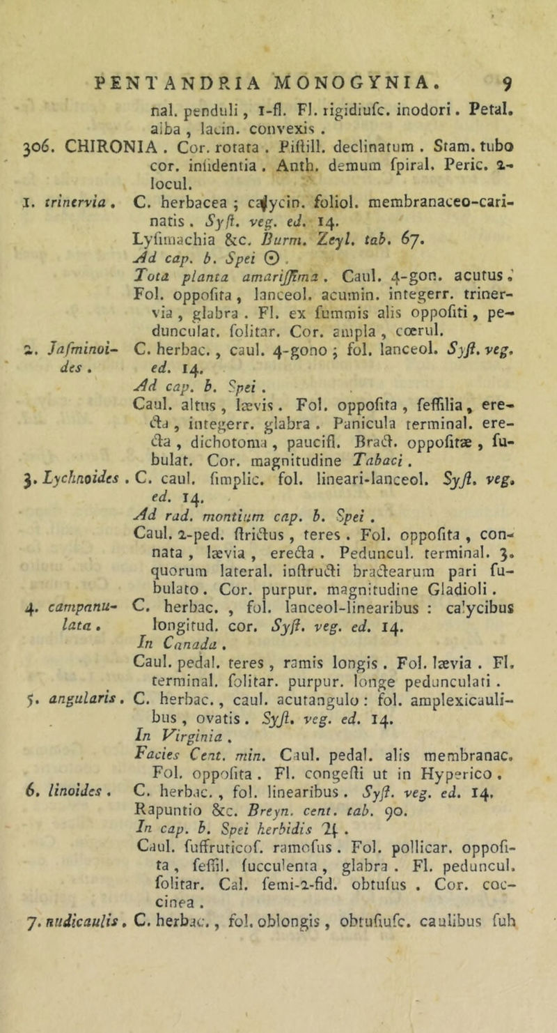nal. penduli, l-fl. FI. rigidiufc. inodori. Petal, aiba , laein. convexis . 306. CHIRONIA . Cor. rotara . Pillill. declinatum . Stam. tubo cor. iniidentia . Anth. demum fpiral, Peric, 2- locul. I. trinervia. C. herbacea ; ct^^ycin. foliol. membranaceo-cari- natis . Syft. veg. eJ. 14. Lyfimachia &amp;:c. Burm. Zeyl, tab. 6j. cap. b. Spei 0 , Tota planta amarijfima. Caul, 4~§on, acutus Fol. oppofita, lanceol. acumin. integerr. triner- via , glabra . FI. ex fummis alis oppofiti, pe— duncuiat. folitar. Cor. ampla , coerul. а. Jafminoi- C. herbae., caul. 4-gono ; fol. lanceol. Syji, veg. des . ed. 14. ^d cap. B. Spei . Caul. altus, laevis. Fol. oppofita, feflilia, ere- Ad , integerr. glabra . Panicula terminal. ere- &lt;^a , dichotoraa , paucifl. Brat^. oppofitae , fa- bulat. Cor. magnitudine Tabaci. 3. Lychaoides , C. caul. fimplic. fol. lineari-lanceol. Syjl. veg, ed. 14. .^d rad. montium cap. b. Spei . Caul. 2-ped. ftridus, teres . Fol. oppofita , con- nata , laevia , ereda . Peduncul. terminal. 3. quorum lateral. inftrudi bractearum pari fa- bulato . Cor. purpur. magnitudine Gladioli. 4. campnnu- C. herbae. , fol. lanceol-linearibus : calycibus lata . longifud. cor. Syfi. veg. ed. 14. In Cnnada . Caul. pedal. teres , ramis longis . Fol. laevia . FI. terminal. folitar. purpur. longe pedunculari . 5. angularis. C. herbae., caul. acutangulo: fol. amplexicauli- bus , ovatis. Syji, veg. ed. 14. In Virginia . Facies Cent. min. C.iul. pedal. alis membranae. Fol. oppofita . FI. congedi ut in Hyperico . б, linoides, C. herbae., fol. linearibus. Syji. veg. ed. 14, Rapuntio Scc. Breyn. cent. tab. 90. In cap. b. Spei herbidis iSf . Caul. fuffruricof. ramofus . Fol. pollicar. oppofi- ta , feffil. fucculenta, glabra . Fl. peduncul. folitar. Cal. femi-a-fid. obtufus . Cor. coc- cinea . 7. C. herbae., fol. oblongis , obtufiufc. caulibus fuh