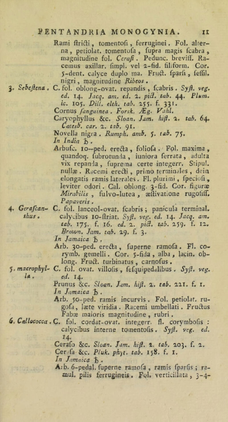 Rami ftrifli, tomentofi, ferruginei. Fol. alter- na , petiolat. tomentofa , fupra magis fcabra , magnitudine fol. Cerafi. Pedunc. breviil. Ra- cemus axillar. firapl. vel a-fid. filiform. Cor. 5-dent. calyce duplo ma. Frud. fparfi, feffil. nigri, magnitudine Ribcos . 3. Sehejiena. C. fol. oblong-ovat. repandis , fcabris . Syjl. veg. ed. 14. Jacq. ani. ed. 2. pi3. tab. 44. Pium, ic. 105. Dill. elth. tab. 255. f. 331. Cornus fanguinea , Forsk, Mg. Vohl. Can^Pphyllus &amp;c. Sloan. Jam. hift. 2. tab. 64» Catesb. car. 2, tab. 91. Novella nigra . Rumph. amh. J. tab. 75, In India 1) . Arbufc. IO—ped. ereda , foliofa .' Fol. maxima, quandoq. fubrotunda , iuniora ferrata, adulta vix repanda , fuprema certe integerr. Sripu!. nullae . Rjcemi eredi, primo terminales , dein elongatis ramis laterales. FI. plurimi, fpeciofi , leviter odori. Cal. oblong. 3-fid. Cor. figurae Mirabilis , fulvo-lutea, aeftivatione rugolilT. Papaveris. 4&lt; Gerafcan- C. fol. lanceol-ovat. fcabris ; panicula terminal, thus, calycibus lo-ftriat. Syft. veg. ed. 14. Jacq. am. tab. 175. f. 16. ed. 2. piS. tab. 259. f. 12. Broivn. Jam. tab. 29. f. 3. In Jamaica . Arb. 30-ped. ereda , fu perne ramofa . FI. co- rymb. gemelli. Cor. 5-fida , alba, lacin. ob- long. Frud. turbinatus , carnofus . ^.maeropkyU C. fol. ovat, villolis , fefquipedalibus . Sy/l. veg. /&lt;*. ed. 14. Prunus &amp;c. Sloan. Jam. kiji. 2. tab. 221. f. i. In Jamaica . Arb. 50-ped. ramis incurvis. Fol. petiolat. ru- gofa, laete viridia . Racemi umbellati. Frudus ' Fabae maioris magnitudine , rubri. 6, Callococca ,C. fol. cordat-ovat. integerr. fl. corymbofis : calycibus interne toinentofis. Syfi. veg. ed. 14. Cerafo &amp;c. Sloan. Jam. hi fi. 1. tab. 203. f. 2. Cerafa &amp;;c. Pluk. phyt. tab. 158. f. I. In Jamaica • Arb. 6-pedal. fuperne ramofa , ramis fparfis; ra- mul. pilis ferrugineis. Fol. verticillata , 3-4-