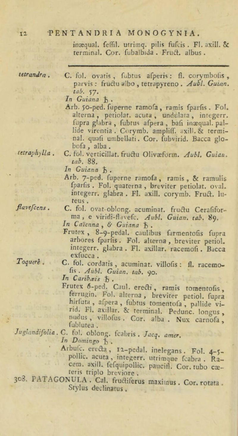 inaequal. feflil. utrimq. pilis fufcis . FI. axill. &amp; rerminal. Cor. fubalbida . Frudt. albus . tttrandrn, C. fol. ovaris, fubtus afperis; fl. corymbolis , parvis ; fruclu albo , tetrapyreno . Aubl. Guinn. tab. 57. In Guiana . Arb. jo-ped. fuperne ramofa, ramis fparfis. Fol. alterna , petiolaf. acura , undulata , inregerr. fupra glabra , fubrus afpera , bafi inaequal. pal- lide virentia. Corymb. amplifiT. axill. &amp; termi- nal. quafi umbellati. Cor. fubvirid. Bacca glo- bofa, alba. tetraphylla . C. fol. verticillat. frudu Olivaefonn. Aubl. Guiaa. tab. 88. In Guiana . Arb. 7-ped. fuperne ramofa , ramis , &amp; ramulis fparfis . Fol. quaterna , breviter petiolat. oval, integerr. glabra . Fl. axill. corymb. FrmH:. lu- teus . flavtfctns. C. fol. ovat-oblong. acuminat, frudu Cerafifor- ma , e viridi-flavefc. Aubl. Guian. tab. 89. In Caienna , &amp; Guiana . Frutex , 8-9-pedal. caulibus farmentofis fupra arbores fparfis. Fol. alterna, breviter petiol, integerr. glabra . FI. axillar. racemofi. Bacca exfucca . Toqueri , C. fol. cordatis, acuminat, villofis : fl. racemo- fis . Aubl. Guian, tab. 90. In Carihjeis J) . Frutex 6-ped. Caul. eredli, ramis toraentofis, ferrugin. Fol. alterna , breviter petiol. fupra hirluta , afpera , fubtus tomentofa , pallide vi- rid. Fl. axillar. &amp; terrainal. Pedunc. longus , , villofus. Cor. alba . Nux carnofa, lublutea . JuglandifoVia.C. fol. oblong. fcabris . Jacq. amer. In Dnmingo ^ , Arbulc. ereiila, ii-pedal. inelegans. Fol. 4-5- pollic. acuta, integerr. utrimque fcabra . Ra- cera. axill. fefquipollic. paucifl. Cor. tubo cse- teris triplo breviore . 303. PATAGONULA . Cal. frudiferus maximus. Cor. rotata . Stylus declinatus. '