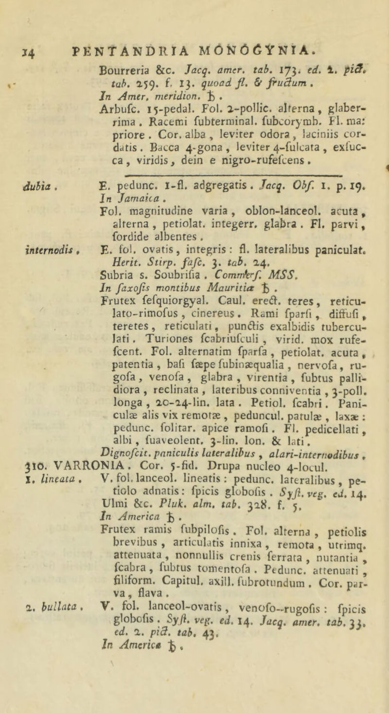 Bourreria &amp;c. Jacq. amer. tab. 173. ed. 1. piS» tab. 259. f. 13. quoad jl. &amp; jrudum , Jn Amer, meridion. 1) . Arbufc. 15-pedal. Fol. 2-polIic. alterna, glaber- rima . Racemi fubterrainal. fubcoryrob. Fl. ma; priore . Cor. alba , leviter odora , laciniis cor- datis . Bacca 4-gona , leviter 4-fulcata , exfuc- ca , viridis, dein e nigro-rufefcens , dubia . E. pedunc. I-fl. adgregatis . Jacq. Obf. i. p. 19. Jn Jamaita . Fol. magnitudine varia , oblon-lanceol. acuta, alterna , petiolat. integerr, glabra . Fl, parvi, fordide albentes . internodis, E. fol. ovatis, integris: fl. lateralibus paniculat. Herit. Stirp. fafc. 3. tab. 24. Subria s. Soubrifia . Commkrf. MSS. In faxojis montibus Maurida • Frutex fefquiorgyal. Caul. ere^f. teres, reticu- ^ lato-rimofus , cinereus . Rami fparfi, diffufi, teretes , reticulati, punftis exalbidis tubercu- lati. Turiones fcabriufculi , virid. mox rufe- fcent. Fol. alternatim fparfa , petiolat. acuta, patentia, bafi faepe fubina^qualia , nervofa, ru- gofa , venofa , glabra , virentia , fubtus palli- diora , reclinata , lateribus conniventia , 3-poIl. longa , 20-a4-lin. lata . Petiol. fcabri. Pani- culae alis vix remotae , peduncul. patulae , laxae : pedunc. folitar. apice ramofi. Fl. pedicellati, albi, fuaveolent. 3-lin. Ion. &amp; lati. Dignofcit. paniculis lateralibus , alari-internodibus , 310. VARRONIA. Cor. 5-fid. Drupa nucleo 4-locul. X, lineata, V. fol. lanceol. lineatis: pedunc. lateralibus, pe- tiolo adnatis: fpicis globofis . Syji. veg. ed, 14. Ulmi &amp;c. Pluk. alm, tab. 328. f. 5, In America F • Frutex ramis fubpilofis. Fol. alterna , petiolis brevibus , articulatis innixa , remota , utrimq. attenuata , nonnullis crenis ferrata , nutantia , fcabra , fubtus tomentofa . Pedunc. attenuati , filiform. Capitul. axill. fubrotundum . Cor. par- va , flava. 2. bullata, V. fol. lanceol-ovatis, venofo-»rugofis: fpicis globcfis . Syji. veg. ed. 14. Jacq. amer, tab, 33, ed. 2. pi3. tab, 43, In America ^,