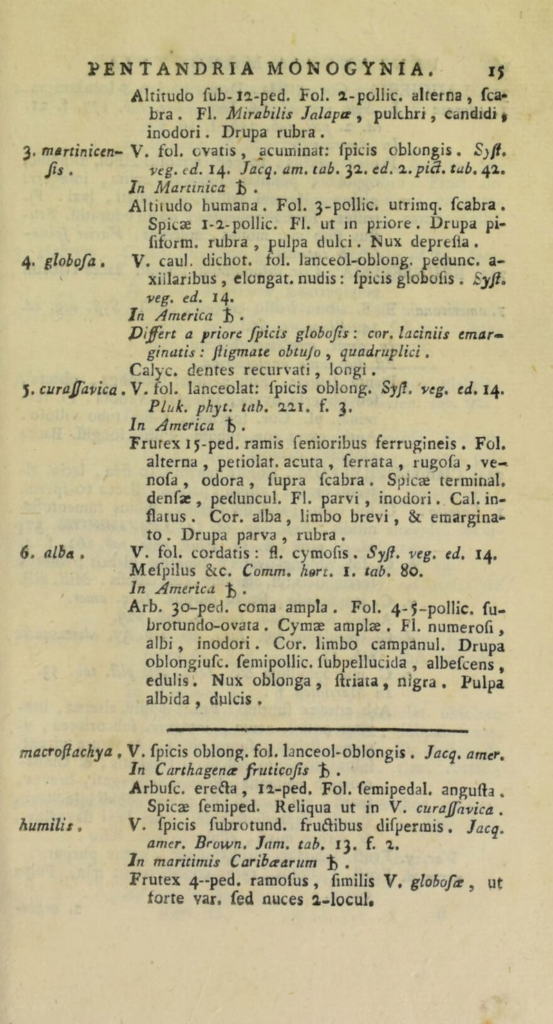 Altitudo fub-ia-ped. Fol. a-pollic. alterna, fca- bra . FI. Mirabilis Jalapa , pulchri, candidi | inodori. Drupa rubra . 3. martinicen- V. fol. ovatis , acuminat; fpicis oblongis, S)ft» fis. veg. ed. 14. Jacq. am. tab. 32. cd. l.piB. tab, 42. In Martinica ^ . Altitudo humana. Fol. 3-pollic. utrimq. fcabra. Spicae l-2-pollic. FI. ut in priore. Drupa pi- fiform. rubra, pulpa dulci. Nux deprefla . 4. globofa, V. caul. dichot. fol. lanceol-oblong. pedunc. a- xillaribus , elongat, nudis: fpicis globofis . Syfi, veg. ed. 14. In America . J)i0ert a priore fpicis globofis; cor. laciniis emar^ ginatis : ftigmate obtujo , quadruplici , Calyc. dentes recurvati, longi. J. curajfavica. V. fol. lanceolat: fpicis oblong. Syf. veg, ed. 14. Pluk. phyt. tab. 221. f. 3» In America t) . Frutex 15-ped. ramis fenioribus ferrugineis. Fol. alterna , petiolat. acuta , ferrata , rugofa , ve-« nofa , odora, fupra fcabra. Spicae terminal, denfas, peduncul. FI. parvi , inodori. Cal. in- flatus . Cor. alba, limbo brevi, &amp; emargina- to . Drupa parva , rubra . 6. alba,, V. fol. cordatis : fl. cymofis. Syfi. veg. ed. 14. Mefpilus &amp;c. Comm, hsrt. I. tab. 80. In America, . Arb. 30-ped. coma ampla. Fol. 4-5-pollic. fu- brotundo-ovata . Cymae amplae . FI. numerofi, albi, inodori. Cor. limbo campanul. Drupa oblongiufc. femipollic. fubpellucida , albefcens , edulis. Nux oblonga , ftriata , nigra . Pulpa albida , dulcis . macTo^achya , V. fpicis oblong. fol. lanceol-oblongis . Jacq. amer. In Carthagence fruticofis J) . Arbufc. ereda , 12-ped, Fol. femipedal. angulla . Spicae femiped. Reliqua ut in V. curajfavica . humilis, V. fpicis fubrotund. fruftibus difpermis. Jacq. amer. Brown. Jam. tab. 13. f. 2. In maritimis Caribaarum J) . Frutex 4-ped. ramofus, fimilis V. globofr , ut forte var. fed nuces a-locul« t