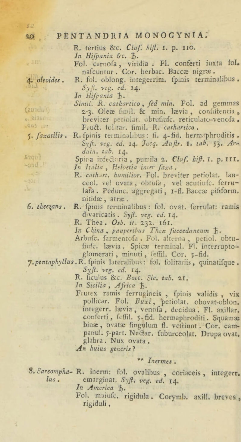 R. tertius &amp;C. Cluf. hiji. I. p. Ilb. Jn Hifpania &amp;c. Fol. Ciirnofa, viridia . Fl. conferti iuxta fol» nafcuntur . Cor. herbae. Baccae nigrae. R. fol. oblong. integerrim. fpinis terminalibus. Syf. veg. ed. 14. Jn Hi/piinia 1). SimiL. R. cathdrtico, fed min. Fol. ad gemmas a-3. Oleae fimil, &amp; min. laevia , conliltentia , breviter periolar. obtuliufc. reticulaio-venofa, Fiuft. (olitar. limil. R. cathartice . R. fpinis teiminalibus: fi. 4-fid. hermaphroditis. iSyyt. veg, ed. 14. Jncq. Aujir, I. tab. 53, Ar- duin, tab. 14. Spir a inffcCR ria , pumila 2. Cluf, hlfi.T. p. III. Jn Italia , Helvetia inifr faxa . R. enthart. humilior. Fol. breviter pefiolat. lan- ceol. ve! ovata, obtufa , vel acutiufe. ferru- lara . Pedunc. aggregati, i-fl. Baccae pifiform, nitidae , atrae. R. fpinis terminalibus: fol. ovat, ferrulat: ramis divaricatis. Syf. veg. ed. 14. R. Thea . Osb. it. 232. 161. In China , pauperibus Thex fuccedamum Ji. Arbufe. farmentofd . Fol. altrrna , petiol. obtu- fiufc. laevia . Spicae terminal. Fl. interrupto- glomerari , minuti , leffil. Cor. j-fid. J.pentaphyllus.'R.{p\n\’i lateralibus; fol. folitariis, quinatifque, Syjl. veg. cd. 14. R. ficu&gt;us Stc. Bocc. Sic. tab. 21. In Sicilia , Africa J). Frutex ramis ferrugineis , fpinis validis , vix polliCcir. Fol. Buxi, petiolat. cbovat-oblon. inregerr. laevia , venofa , decidua. Fl. axillar. conferti, feflil. 5-fid. hermaphroditi. Squamae binae, ovatae fingulum fl. vertiunt. Cor. cam- panul. j-part. Nedlar. fuburceolat, Drupa ovat, glabra . Nux ovata . An huius generis 1 ** Inermes . 8. Sareompha- R. inerm: fol. ovalibus , coriaceis , integerr. Ius. emarginat. Syji, veg. ed. 14. Jn America J). Fol. maiufe. rigidula. Coryrab. axill, breves, rigiduli. 4.'^ oleoides, •iia ,Ci*J 5, faxatilis , £7qj.'} ~S‘id . 6. thee[ans .