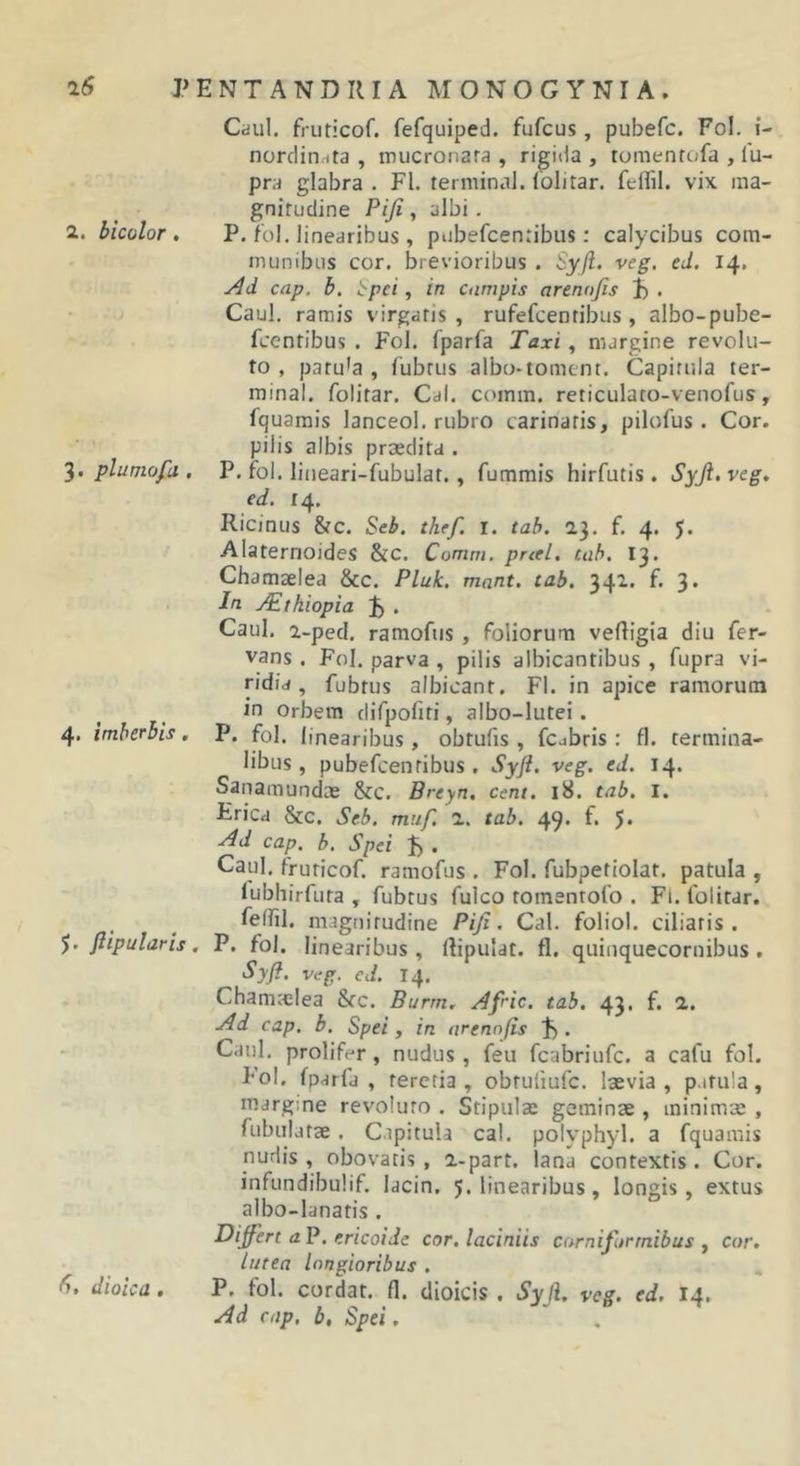 Cdul. fruticof. fefquiped. fufcus, pubefc. Fol. f- nordirirtta , mucronara , rigida , tomentofa , lu- pra glabra . FI. terminal. Iblitar. feflil. vix. ina- gnifudine Piji, albi . 2. bicolor . P. fol. linearibus , pubefcenribus: calycibus com- munibus cor. brevioribus . Syjl. veg. ed. 14. cap. b, cpei, in cnnipis arenafis . Caul. ramis virgatis, rufefcentibus , albo-pube- fcentibus . Fol. fparfa Taxi, margine revolu- to , patula , fubrus albo-tornent. Capitula ter- minal. folitar. Cdl. comm. reticulato-venofus, fquarais lanceol. rubro carinatis, pilofus. Cor. pilis albis praedita . pluniofa . P. fol. lineari-fubulat., fummis hirfutis . Syji.veg» ed. 14. Ricjnus StC. Seb. thtf. I. tab. 23. f. 4. J. Alaternoides &amp;c. Comm. prctl, tah. 13. Chamaelea &amp;c. Pluk. mant. tab. 341. f. 3. In j^tkiopia . Caul. a-pecl. raraofiis , foliorum veftigia diu fer- vans . Fol. parva , pilis albicantibus , fupra vi- ridia , fubtus albicant. FI. in apice ramorum in Orbem difpofiti, albo-lutei. 4. imberbis. P. fol. linearibus, obtufis , fcabris : fl. termina- libus, pubefcentibus , Syfi. veg. ed. 14. Sanamundoe &amp;c. Breyn, cent. 18. tab. I. Frica 8cc. Seb. muf. 1. tab. 49* f* 5» ^d cap. h. Spei f) . Caul. fruticof. ramofus . Fol. fubpetiolat. patula , lubhirfuta , fubrus fulco tomentofo . Fi. folitar. _ ^ feffil. magnitudine PiJi. Cal. foliol. ciliaris. $. fiipularis. P. fol. linearibus, flipulat. fl. quinquecornibus , Syfi. veg. ed. 14. Chamtelea Src. Burm. Afric. tab. 43. f. a. Ad cap. b. Spei, in nrennfis . Caul. prolifer, nudus , feu fcabriufc. a cafu fol. Fol. fparfa , teretia , obtufiufc. laevia , patula, margine revoluto . Stipulae geminae , minimae , fubulatae. C.ipitula cal. polyphyl. a fquamis nudis , obovatis , a-part. lana contextis. Cor. infundibulif. lacin. 5. linearibus, longis, extus albo-lanatis . Difiert a P. ericoide cor. laciniis carnifurmibus , cor. lutea longioribus . 6. dioica. P. fol. cordat. _fl. dioicis . Syji, veg. ed. 14. Ad cap. b. Spei.