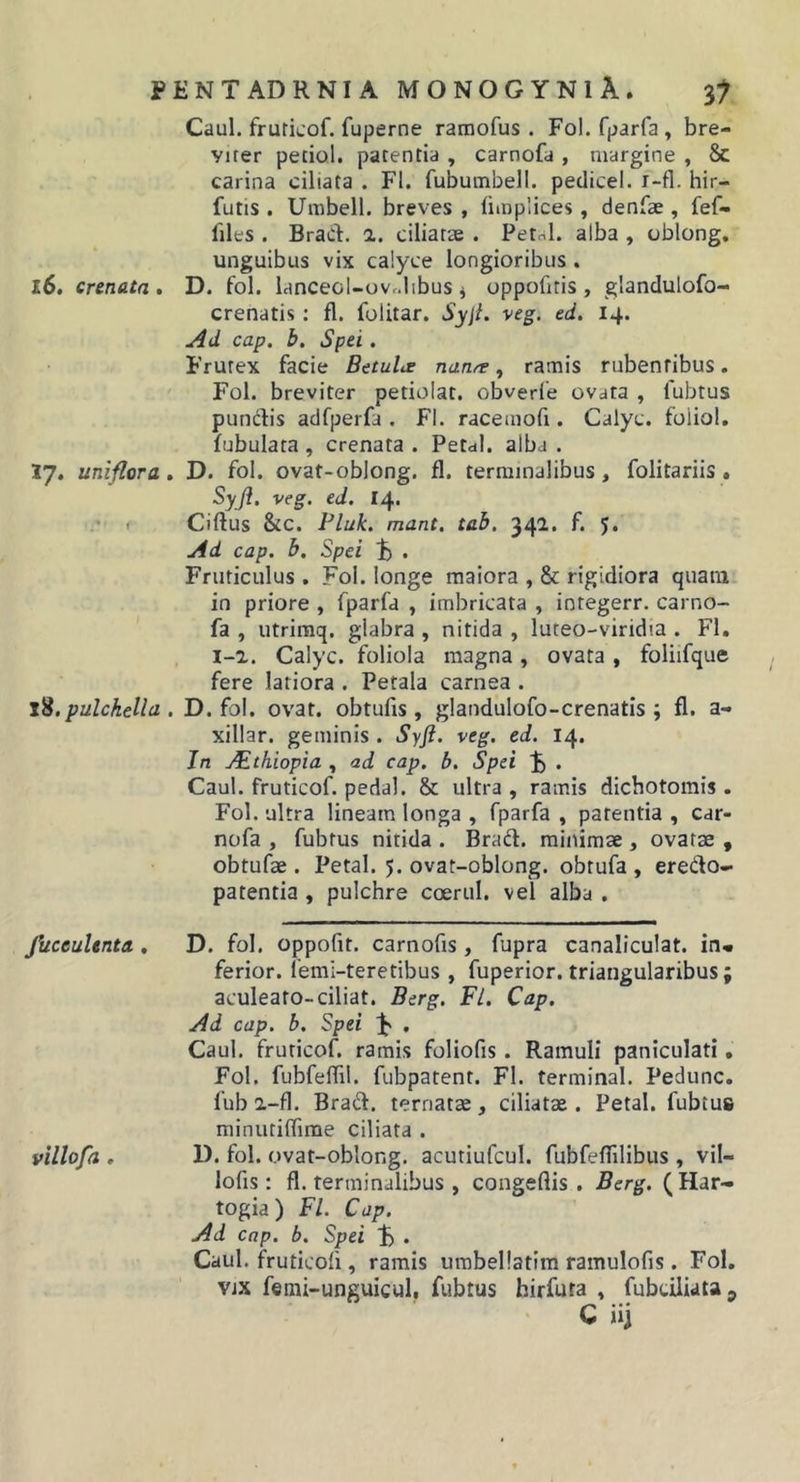 Caul. fruricof. fuperne raraofus . Fol. fparfa , bre- viter petiol. patentia , carnofa , margine , &amp; carina ciliata . FI. fubumbell. pedicel. i-fl. hir- futis . Umbell. breves , fimplices, denfae , fef- files . Brad. a. ciliatae . Petal. alba , oblong, unguibus vix calyce longioribus . 16. cnnatn , D. fol. lanceol-ovr.libus j oppofitis, glandulofo- crenatis: fl. folitar. Sy\t. veg. ed. 14. cap, b. Spei. Frutex facie Betula nana ^ ramis rubentibus. Fol. breviter petiolat. obverfe ovata , fubtus pundis adfperfa . Fl. racemofi. Calyc. foliol, fubulata , crenata . Petal. alba . 37. uniflora, D. fol. ovat-oblong. fl. terminalibus, folitariis. Syjl. veg. ed. 14. &lt; Ciftus &amp;C. Pluk. mant. tah, 34^* 5* Ad cap. b. Spei t) • Fruticulus . Fol. longe maiora , &amp; rigidiora quam in priore , fparfa , imbricata , integerr. carno- fa , utrimq. glabra , nitida , luteo-viridia . Fl. i-a. Calyc. foliola magna, ovata , foliifque fere latiora . Petala carnea . j9.pulchella . D. fol. ovat, obtulis, glandulofo-crenatis ; fl. a- xillar. geminis . Syft. veg. ed. 14. In j^thiopia , ad cap. b. Spei F) . Caul. fruticof. peda). &amp; ultra , ramis dichotomis. Fol. ultra lineam longa , fparfa , patentia , car- nofa , fubtus nitida . Brad. minimae, ovatae , obtufae. Petal. 5. ovat-oblong. obtufa , eredo- patentia , pulchre coerul. vel alba . fuceulenta , D. fol. oppofit. carnofis, fupra canaliculat. in* ferior, femi-teretibus , fuperior. triangularibus; aculeato-ciliat. Berg. Fl. Cap. Ad cap. b. Spei • Caul. fruticof. ramis foliofis. Ramuli paniculati. Fol. fubfeffil. fubpatent. Fl. terminal. Pedunc. fub a-fl. Brad. ternatae, ciliatae . Petal. fubtus minutiffirae ciliata . villofa , D. fol. ovat-oblong. acutiufcul. fubfeflilibus , vil- lofts: fl. terminalibus , congeftis . Berg. (Har- togia) Fl. Cap. Ad cap. b. Spei . Caul. fruticofi, ramis urabellatim ramulofis. Fol, ViX femi-unguicul, fubtus hirfura . fubcUiataj C ii]