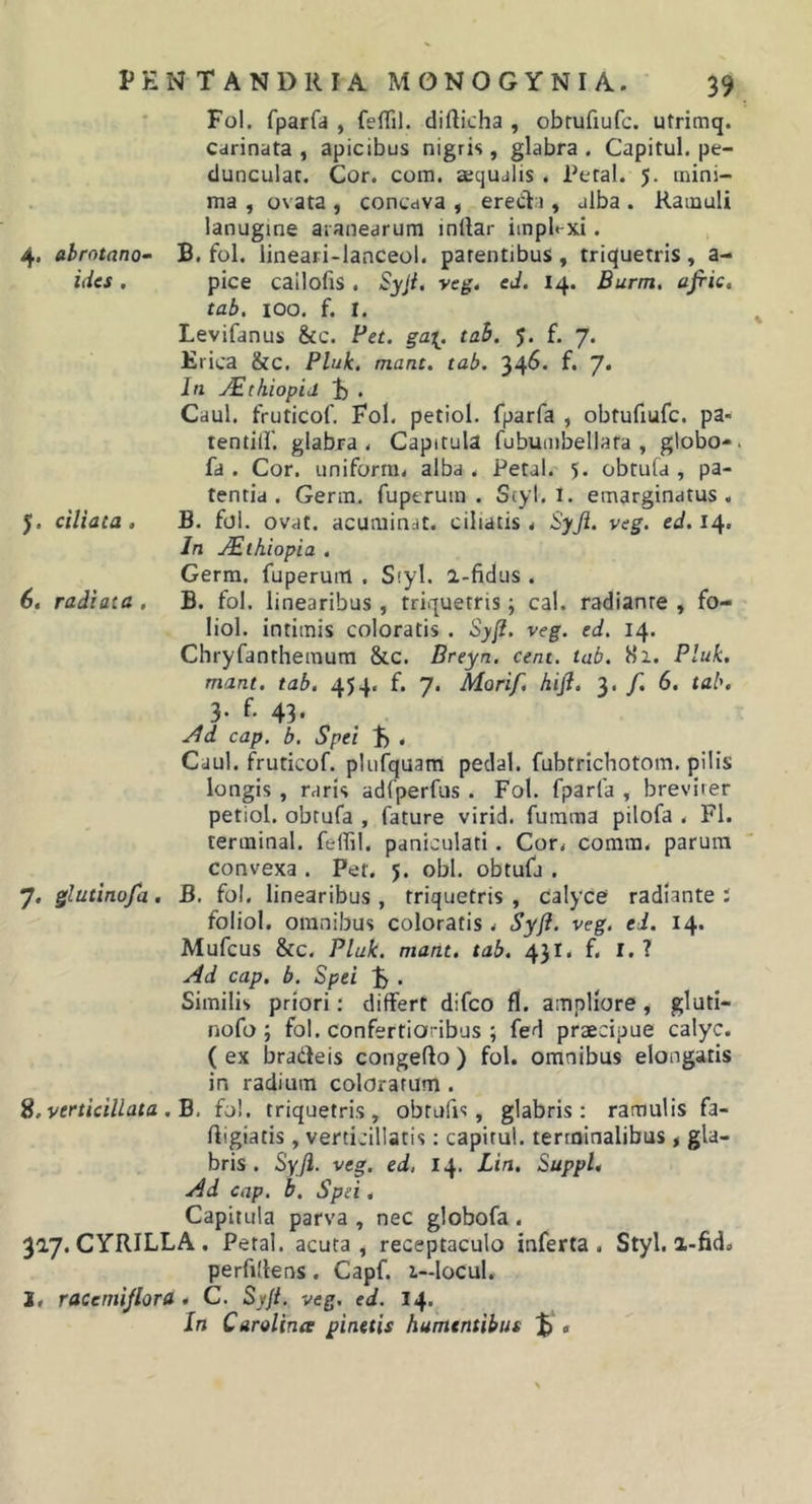 Fol. fparfa , feffil. difticha , obrufiufc. utrimq. Carinata, apicibus nigris, glabra. Capitul. pe- dunculat. Cor. cora, squalis . Petal. 5. mini- ma , ovata , concdva , ereCta , alba . Ramuli lanugine aranearum inllar iinpl«-xi. B. fol. lineari-lanceol. parentibus, triquetris, a- pice cailofis . Syji. veg, cd. 14. Burm. ajric, tab. loo. f. r. Levifanus &amp;c. Bet. ga^. tah. J. f. 7. Erica &amp;c. Pluk, mane. tab. 34^- f* 7* In JEthiopid 1) . Caul. fruticof. Fol. petiol. fparfa , obtufiufc. pa- tentill. glabra. Capitula fubuiiibellata , globo-, fa . Cor. uniforin. alba . Petal. 5. obtufa , pa- tentia . Gerra, fuperuin . Scyl. 1. emarginatus . B. fol. ovat, acuminat, ciliatis. Syji. veg. ed. 14. In j^thiopia . Gerra, fuperura . Siyl. 2-fidus . B. fol. linearibus , triquetris; cal. radiante , fo- liol. intimis coloratis . Syji. veg. ed. 14. Chryfantheinum &amp;c. Breyn. cent. tab. S‘i. Pluk, mant, tab. 454, f. 7. Morif, hijl. 3. /. 6. tab. 3. f. 43- ./Jd cap. b. Spei , Caul. fruticof. plufquam pedal. fubtrichotom, pilis longis , raris adfperfus . Fol. fparfa , breviter petiol. obtufa , fature virid. furama pilofa . FI. terrainal. feffil. paniculati. Cor. coram, parum convexa . Pet. 5. obi. obtufa . 7, glutlnofa. B. fol. linearibus , triquetris , calyce radiante J foliol. omnibus coloratis. Syji. veg. ed. 14. Mufeus &amp;c. Pluk. mant. tab. 431. f. I. ? Ad cap. b. Spei . Similis priori; differt difeo fl. ampliore, gluti- nofo ; fol. confertioribus ; fed praecipue calyc. ( ex bradfeis congefto ) fol. omnibus elongatis in radium coloratum . S.verticillata .B. fol. triquetris, obtufis, glabris: ramulis fa- fiigiatis, verticillatis: capitul. terminalibus , gla- bris . Sxfi. veg. ed, 14. Lin. Suppi, Ad cap. b. Spei, Capitula parva , nec globofa . 327. CYRILLA . Petal. acuta, receptaculo inferta. Styl. a-fid« perfidens . Capf. 1—locul. 1« racemijlora, C. Syji. veg. ed. 14. In Carolina pinetis humentibus &lt; 4. abrotano- ides . ciliata, 6, radiata ,