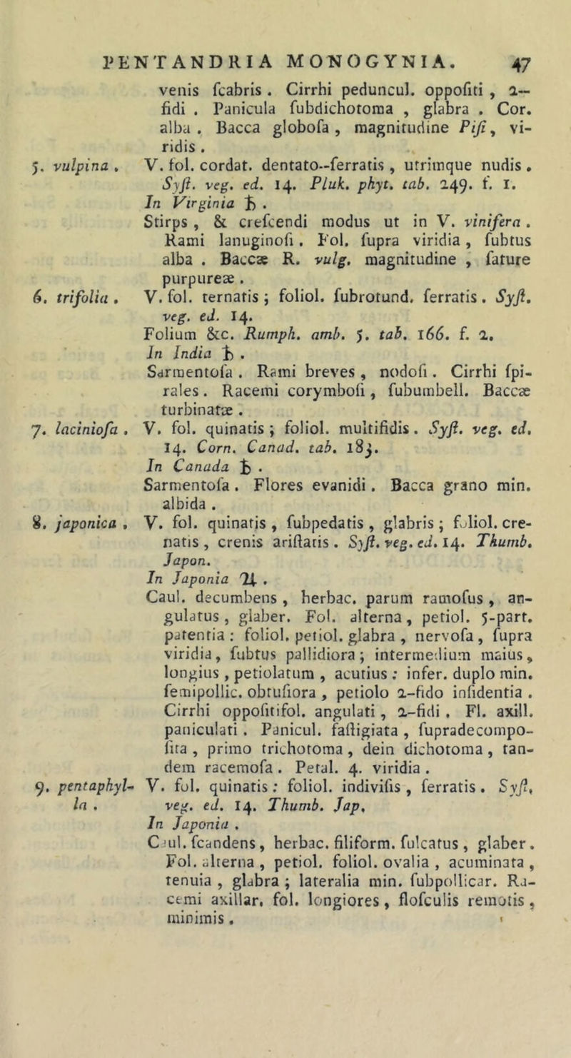 venis fcabris . Cirrhi peduncul. oppofiti , l— fidi . Panicula fubdichotoraa , glabra . Cor. alba. Bacca globofa, magnitudine Piji,, vi- ridis . 5. vulpina , V. fol. cordat. dentato-ferratis , utrimque nudis . Syft. veg. ed. 14. Pluk. phyt. cab, 249. f, I. In Virginia . Stirps , &amp; crefcendi modus ut in V. vinifera. Rami lanuginofi. Fol. fupra viridia, fubtus alba . Baccae R. vulg. magnitudine , fature purpureae . 6. trifolia . V. fol. ternafis ; foliol. fubrotund. ferratis. Syji, veg. ed. 14* Folium &amp;c. Rumph. amh, 5. tab. 166. f. 2, In India 1) . Sarraentofa . Rami breves , nodofi . Cirrhi fpi- rales. Racemi corymbofi, fubumbell. Baccae turbinatae . 7. laciniofa . V. fol. quinatis ; foliol. multifidis. Syf. veg, ed, 14. Corn. Canad, tab. l8^. In Canada ^ . Sarmentofa . Flores evanidi. Bacca grano min. albida . 8. Japonica , V. fol. quinatis , fubpedatis , glabris ; Lliol. cre- natis , crenis ariftatis. Syfi. veg. ed. 14. Thumb. Japon. In Japonia Tf . Caul. decumbens , herbae, parum ramofus , an- gulatus, glaber. Fol. alterna, petiol. 5-part. patentia: foliol. petiol. glabra , nervofa, fupra viridia, fubtus pallidiora; intermedium maius, longius, petiolatura , acutius ; infer, duplo min. femipollic. obtufiora , petiolo a-fido infidentia . Cirrhi oppofitifol. angulati, 2,-fidi. FI. axill. paniculati. Panicul. fafiigiata , fupradecompo- fua , primo trichotoma , dein dichotoma , tan- dem racemofa . Petal. 4. viridia . 9. pentaphyU V. fol. quinatis ; foliol. indivifis , ferratis . Syf, In . veg, ed. 14. Thumb. Jap, In Japonia . Caul. fcandens, herbae, filiform. fulcatus, glaber. Fol. alterna, petiol. foliol. ovalia , acuminata, tenuia , glabra ; lateralia min. fubpollicar. Ra- cemi axillar, fol. longiores, flofculis remotis, minimis. «