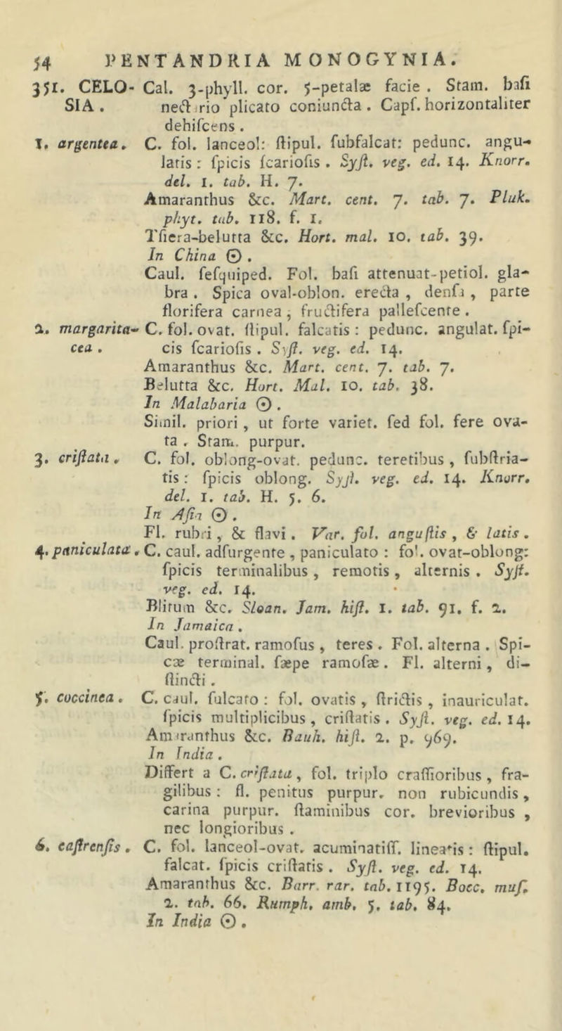 351. CELO- Cal. 3-()hyll. cor. $-peta!ae facie . Stain. bafi SIA. nec^lirio plicato coniuncla . Capf. horizontaliter dehifcens . X, argentea, C. fol. lanceo!: ftipul. fubfalcat: pedunc. angu- laris : fpicis fcariofis . Syjl. veg. ed. 14. Knorr. dei, I. tui}, E. y, Amaranthus &c. Nlan, cent, 7. tab, 7. Pluk. phyt, tab. II8. f. I. Tficra-belurta &c. Hort. mal, 10. tab, 39. Jn China © . Caul. fefquiped. Fol. bafi attenuat-petiol. gla- bra . Spica oval-oblon. erecta , denfa , parte florifera carnea, fructifera pallefcenfe. а. C. fol. ovat, (lipul. falcatis: pedunc. angulat. fpi- cea . cis fcariofis. Syfl. veg. ed. 14. Amaranthus Scc. Mart. cent. 7. tab. 7. Belutta &c, Hort. Mal. IO. tab. 38. In Malabaria 0 . Siinil. priori, ut forte variet, fed fol. fere ova- ta . Sram. purpur. 3. crifiatii. C. fol. ob!ong-ovat. pedunc. teretibus, fubfiria- tis: fpicis oblong, Syjl, veg. ed. 14. Knurr, dei. I. tab. H. 5. 6. In AJin 0 . FI. rubri, & flavi. Var. fol. angufiis , & latis . ^.pitniculata.C. caul. adfurgente , paniculato : fob ovat-oblong: fpicis terminalibus, remotis, alternis . Syjf. veg. ed. 14. Blirum &c. Sloan. Jam. hifl. I. tab. 91. f. 1, In Jamaica, Caul. profirat. ramofus , teres . Fol. alterna . Spi- cas terminal. faepe ramofae. Fl. alterni, di- di ndti . 5, coccinea, C. caul. fulcato : fol. ovatis, firidis, inauriculat. fpicis multiplicibus, crifiatis . Syjl. veg. ed.l^^. Amtranthus &c. Bauh. hiji. a. p. 969. In India, Differt a C. cr^flata ^ fol. triplo crafiioribus , fra- gilibus : fl. penitus purpur. non rubicundis, carina purpur. flaminibus cor. brevioribus , nec longioribus . б. eafirenjis, C. fol. lanceol-ovat. acuminatiff. lineafis: flipul. falcat. fpicis criflatis . Syfi. veg. ed. 14. Amaranthus &C. Barr. rar, tnb.ixc)'). Bocc. muf, 1. tnh. 66. Rumph, amb, 5. tab, 84. In India O.