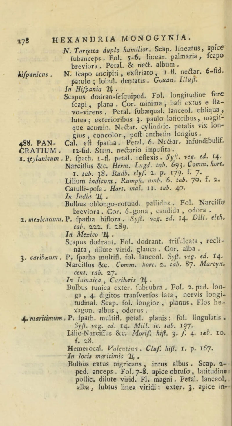 'TaTt^ttct duplo humilior, Scsp# lin63fuSj spiCC? fubanceps. Fol. 5'^- lir.ear. palmaria, fcapo breviora . Petal. &amp; neft. album . kifpanicus , N. fcapo aocipiti, exftriato , i-fl. patulo ; lobul. dentatis . Guuan. illujt. In Hifpania 'H- . . . &lt;• Scapus dodran-fefquiped. Fol. longitudine tere fcapi, plana . Cor. minima , bafi extus e tla- vo-virens . Petal. fubsequal. lanceol. obliqua, lutea; exterioribus 3* p^olo latioribus, iiiagif* que acumin. Ntdfar. cylindric. petalis vix lon- gius , concolor, poft anthefin longius. 488. PAN- Cal. eft fpatha. Petal. 6. Nedar, infundibulif. CRATIUM . la-fid. Stam. nedario impcfita . I, ie)lunieum . V. fpath. l-fl. petal. reflexis. Syf&gt; veg. ed. 14* Narciflus &amp;C. Herm. Lugj. tab. 69^« Comm, kort. I. t(ib. 38. Rudb. elyf. 2. p. 179- 7* Lilium indicum . Rumpk. anib, 6. tab, JO, f. 2. Catulli-pola . Hort, mal, ii. tab, 40. In India . Bulbus oblongo-rotund. pallidus . Fol. Narciffo 1 breviora. Cor. 6-gona , candida , odora . 1. mexicanum. P. fpatha biflora. Syfi, veg, ed, 14. Dill. elth, | tab, 222. f. 289. In Mexico H- , Scapus dodrant. Fol. dodrant. trifulcata , redi- 1 nata, dilute virid. glauca . Cor. alba . 3, carihxum, P. fpatha multifl. fol. lanceol. veg. ed. I4. Narciflus &amp;C. Comm, hort. 2. tab. 87* Mariyn, cent, tab, 27. Jn Jumaica , Caribais . Bulbus tunica exter, fubrubra , Fol. 2. ped. lon- ga , 4. digitos tranfverfos lata , nervis longi- tudinal. Scap. fol. longior , planus. Flos he- Xagon. albus , odorus . maritimum. V. fpath. multifl. petal. planis: fol. lingulatis. S}'/?. veg. cd. 14. Mill, ic. tab. 197* Lilio-NarcilTus &amp;c. Morif. hijl. 3, yi 4. tab. 10. \ f. 28. Hemerocal. Valentina, Cluf. hili. i. p. 167. In locis maritimis 'H* 1 Bulbiis extus nigricans, intus albus. Scap. 2-- ped. anceps. Fol.7-8. apiceobtufo, latitudine; pollic. dilute virid. Fl. magni. Petal. lanceol. alba, fubtus linea viridi: exter. 3. apice in- |