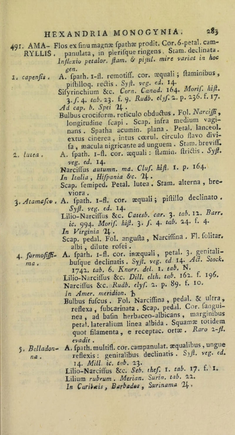 491. AMA- Flos exfinumai^naefpathae prodit. Cor.6-peta1.cam- RYLLIS* panulata, m plerilque nngens . Stara. declinata. InjUxio petalor. fiam. &amp; pijtU. ttiirc variat la hoc U capcnfis. A.^ fpath. i-fl. reraotiflf. cor. aequali; flaminibus, piftilloq. reflis . Sy/i. veg. ed. 14. Sifyrinchium &amp;c. Corn. Canad. 164. Morif. hifi, 3./. 4. tab. 23. f. 9. Rudb. elyf, 1. p. 2.56. f. 17. cap, h. Spei 1 at -/r Bulbus crociform. reticulo obduflus . Fol. JSarciJ/i f longitudine fcapi . Scap. infra medium vagi- nans. Spatha acumin. plana . Petal. lanceol. extus cinerea, intus coerul. circulo navo divH fa , macula nigricante ad unguem . Stam. brevill. 1. lutea , A. fpath. i-fl. cor. aequali; flamin. ftnctis. dyjt. veg. ed, 14* , ^ Karciflus autumn. ma. Ctuf. hijl&gt; 1. p&lt; i 4* Jn Italia, Hifpania &amp;c. . Scap. femiped. Petal. lutea . Stam. alterna , bre- 3. Atamafco, A.^^fpath. i-fl. cor. aequali; piflillo declinato . Syfi. veg. ed. 14- , „ Lilio-Narciflus &amp;c. Catesb. car. 3. tab. 12. aarr, ic. 994. Morif. hifi. 3. /. 4* ^4* ‘‘ 4* Jn Virginia r r. Scap. pedal. Fol. angufta , Narciflina . FI. folitar. albi, dilute rofei. 1 • r 4. formofiffi^ A. fpath. i-fl. cor. inaequali, petal. 3. genita li- ma . bufque declinatis. Syfi. veg. ed H* ^tock, 1742. tab. 6. Knurr. dei. i. tab. N. Lilio-Narciflus &amp;c. DHL elth. tab. 162. r. 196. Narciflus &amp;c. Rudb. elyf. 2. p. ^9* in Amer, meridion. i t Bulbus fufcus . Fol. Narciflma , pedal. 5c ultra , reflexa , fubcarinata. Scap. pedal. Cor. (angui- nea , ad bafm herbaceo-albicans, marginibus petal. lateralium linea albida. Squams totidem quot filamenta, e receptae, ortse . Raro ^-jl. evadit. , 5. Belladon^ A. fpath. multifl. cor. campanulat. «qualibus, ungue na . reflexis; genitalibus declinatis . Syfi. veg. ed, 14. Mill ic. tab. 23. , Lilio-Narciflus &amp;c. Seb. thef. I. tab. 17* f» Lilium rubrum . Merian. Surin. tab. 22. In Caribteis, Barbados ^ Surinama QJf.