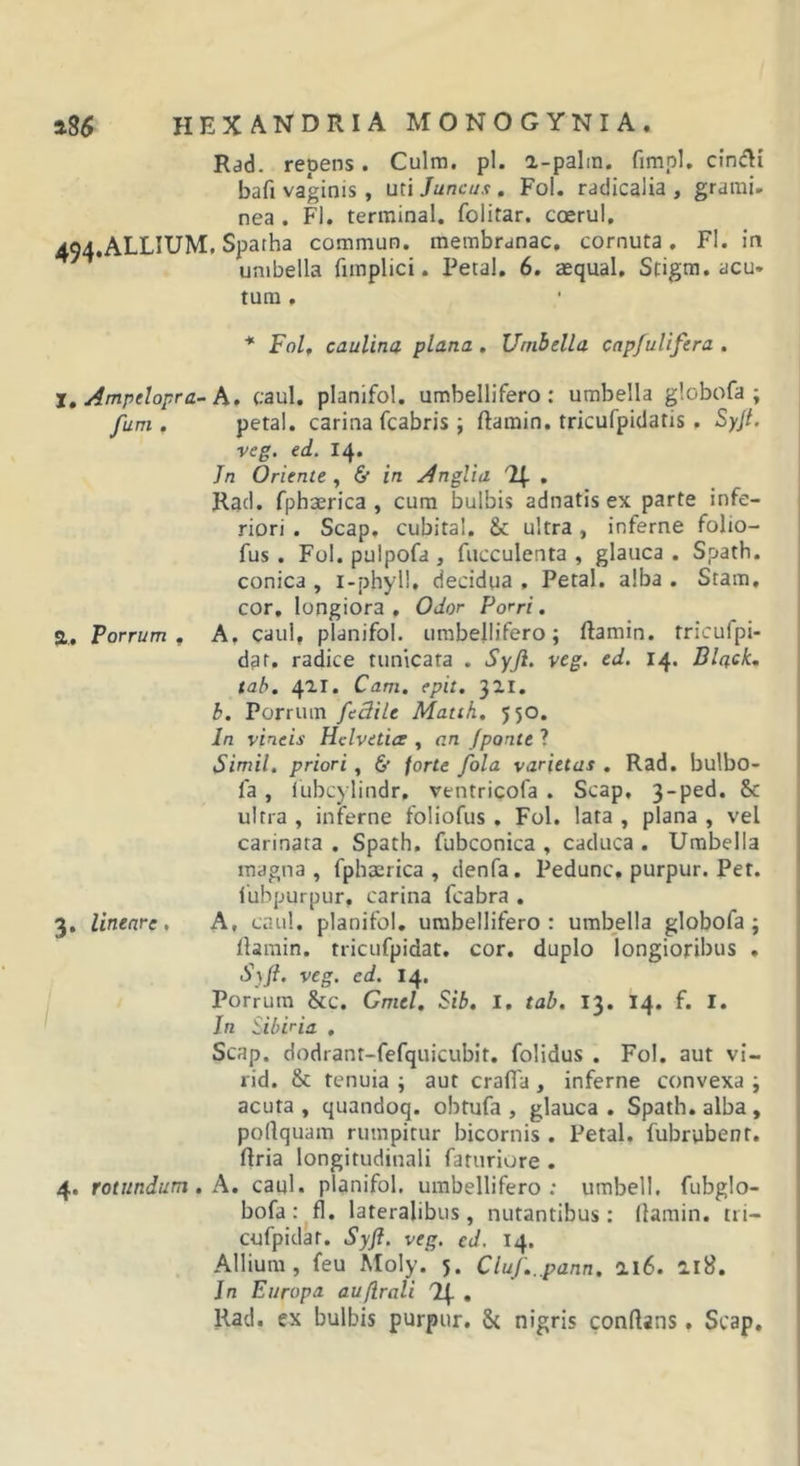 Rad. repens. Culm. pl. a-palin. fimpl. clnciti bafi vaginis, uti Juncus, Fol. radicalia , grami- nea . F). terminal. folitar. coerui, 494.ALLIUM. Spatha commun. membranae, cornuta, FI. in umbella fimplici. Petal, 6, aequal, Stigra, acu- tum , * Fol, caulina pinna , Umbella capfulifera . j, Ampelopra-h, caul, planifol, umbellifero : umbella globofa ; fum , petal, carina fcabris ; ftamin, tricufpidatis , Syjt. veg. ed. 14. In Oriente , &amp; in Anglia Uf , Rad. fphaerica , cura bulbis adnatis ex parte infe- riori . Scap, cubital. &amp; ultra, inferne folio- fus . Fol. pulpofa , faeculenta , glauca . Spath. conica , i-phyll, decidua , Petal. alba . Stam, cor, longiora. Odor Porri. S, Porrum, A, caul, planifol. umbellifero; ftamin. tricufpi- dat. radice tunicata . Syji. veg. ed. 14. Black, tab. 411. Cam, epit. 321. b. Porrum fcBile Matth. 550. In vineis Helvetia , an /ponte ? Simii, priori, 6* forte fola varietas , Rad, bulbo- fa , lubcylindr, ventricofa . Scap, 3-ped. &amp; ultra , inferne foliofus, Fol. lata , plana , vel carinata. Spath. fubconica , caduca. Umbella magna, fphaerica, denfa. Pedunc. purpur. Pet. lubpurpur. carina fcabra . 3. lineare. A, caul. planifol, umbellifero: umbella globofa; llarain. tricufpidat, cor. duplo longioribus . S)ft. veg. ed. 14. Porrum &amp;c. Gmel, Sib. I. tab. 13. I4. f. I. In Sibiria , Scap. dodrant-fefquicubit. folidus . Fol. aut vi- rid. &amp; tenuia ; aut crafla, inferne convexa ; acuta, quandoq. obtufa , glauca. Spath. alba, podquam rumpitur bicornis . Petal, fubrybent. ftria longitudinali faturiore . 4. rotundum , caul. planifol. umbellifero; umbell. fubglo- bofar^fl. lateralibus, nutantibus: llamin. tri- cufpidat. Sy/l. veg. ed. 14. Allium, feu Moly. 5. Ciuf...pann. ai6. ai8. In Europa aufirali 'If • Rad. ex bulbis purpur. 8i nigris conflans, Scap.