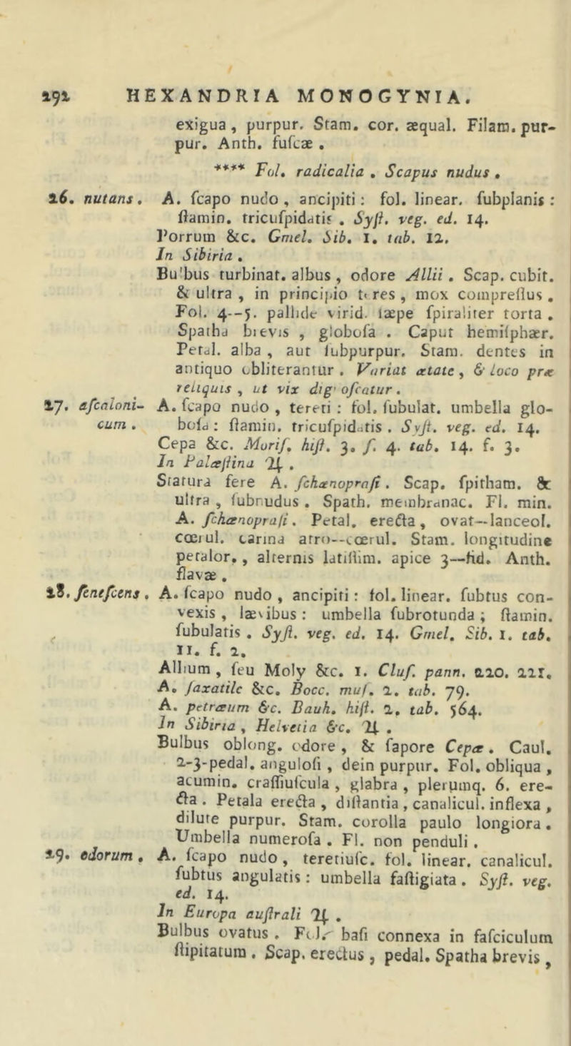 exigua, purpur. Stam. cor. aequal. Filam.pur- pur. Anth. fufcae, **** radicalia , Scapus nudus , nutans, A. fcapo nudo, ancij)iti; fol. linear. fubpianis : ftamin. rriciifpidati* . Syji. veg. ed. 14. l’orrum &amp;c. Cmel. 6ib. I. tab. 12. Jn Sibiria , Bu!bus turbinat. albus , odore Allii. Scap. cubit. &amp; ultra , in principio t&lt; res , mox comprellus. Fol. 4--5. pallide virid. laepe fpiraliter torta . Spatha bievjs , globofa . Caput hemilphaer, Petul. alba , aut lubpurpur. Stam. dentes in antiquo obliterantur . Variat cttate , 6- Loco prx reliquis^ ut vix dig’ofeatur. 17. afcaloni- A. fcapo nudo , tereti : fol. fubulat. umbella glo- cum . bold ; ftamin. tricufpid -tis . S\jt. veg. ed, 14. Cepa &amp;c. Mori/, hiJK 3. /i 4. tab, 14. f. 3. In Paligjiina 'i/ , Statura fere A. fchaenoprafi. Scap. fpitham. 8c ultra , (ubnudus . Spath, membranae. FI. min. , A./chanopraji. Petal. ere fla , ovat—lanceol. ccEiul. canna arr()--coerul. Stam. longitudine I petalor,, alternis latillim. apice 3—fid. Anth. flavae. tt. fenefccns, A. fcapo nudo, ancipiti: fol. linear. fubtus con- • vexis, laevibus: umbella fubrotunda; flamin. 1 ^ fubulatis . SyJi. veg, ed, 14* Grnel, Sib, i. tab, « II. f. 2. Allium, feu Moly &amp;c. i. Cluf. pann, aio. iii. | A, Jaxatilc &amp;c. Bocc. mu/, 1. tab. 79. ! A. petraum &amp;c. Bauk. fiiji. 2. tab. 564. Jn Sibina , Heheiia &amp;c, If . Bulbus oblong. cdore, &amp; fapore Cepee, Caul. \ 2.-3-pedal. angulofi, dein purpur. Fol. obliqua , j acumin, crafliufcula , glabra , pleiumq. 6. ere- i fla. Petala erefla , dillantia, canalicul. inflexa , ; dilute purpur. Stam. corolla paulo longiora. i Umbella numerofa . FI. non penduli. 49. edorum, A. fcapo nudo, teretiufe. fol. linear. canalicul. ! fubtus angulatis: umbella falligiata. Syfi. veg, \ ed. 14. Jn Europa euflrali , Bulbus ovatus . Ft l.- bafi connexa in fafciculum 1 flipitatura , Scap. erectus, pedal. Spatha brevis, j