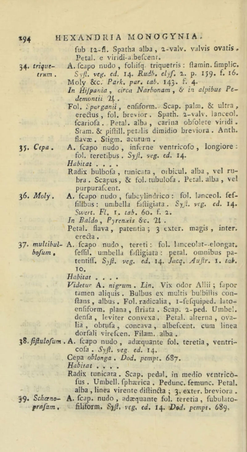 »94 fub ti-fi. Spatha alba, a-valv. valvis ovatis* Petal. e viridi-a.befcenr. A. fcdpo nudo , foliifq. triquetris: ftamin. fimplic. Sv/f. ve^. ed. 14. Rudh, P* ^59* Moly &amp;c. Park. par, tab, 143. t. 4. In Hijpania , circa Narbonam ^ &amp; in alpibus Pc^ Jemontii '4. ... Fol. Sparganii, enfiform. Scap. palm. &amp; ultra, eredus, fol. brevior. Spath. 2-valv. lanceo!, fcariofa . Petal. alba, carina obfolete viridi. Sram. &amp; piflill. petalis dimidio breviora . Anth, flavce . Stigm. acutum . A. fcapo nudo , inferne ventricofo , longiore : fol. teretibus . Syji. veg. cd. 14. Habitat .... Radix bulbofa , tunicata , oibicul. alba , vel ru- bra . Scapus, &amp; fol. tubulofa . Petal. alba , vel purpuraRent. A. fcapo nudo , fubcylindrico : fol. lanceol. fef- fillbus: umbella fdfiigiata . SyjL veg. ed. 14. Swert. Fl. I. tab. 60. f. 2. In Baldo P^renxis &amp;c. 71 . Petal. flava, patentia ; 3 exter, magis , inter, ereda , 37, muhibul- A. fcapo nudo , tereti: fol. lanceolat-.elongat, bofutn, feflil. umbella fafligiata : petal. omnibus pa- tentilT, Sjfi. veg. ed, 14. Jacq. Aujtr. i. tab. 10. Habitat .... Videtur A. nig&lt;-um . Lin. Vix odor Allii ; fapor tamen aliquis. Bulbus ex multis bulbillis con- flans, albus. Fol. radicalia, i-fefquiped. lato- enfiform. plana, flriata . Scap. i-ped. Umbel. denfa , leviter convexa , Petal. alterna , ova- lia , obtufa, concava, albefeent. cum linea dorfali virefeen. Filam. alba . %^.fifiulofum . A. fcapo nudo, adaequante fol. teretia, ventri- cofa . Syjl. veg. ed. 14. Cepa oblonga . Dod. pempt, 687, Habitat .... Radix tunicata. Scap. pedal. in medio ventrico- fus. Umbell. fphacrica . Pedunc. femunc. Petal. alba , linea virente diftinda ; 3. exter, breviora . 39« Scheeno-. A. fcap. nudo , adaequante fol. teretia, fubulato- frafam, filiform. Syjl, veg, ed. 14. Dod. pempt. 689, 34, trique- trum . 3 J. Cepa . 36. Moly.