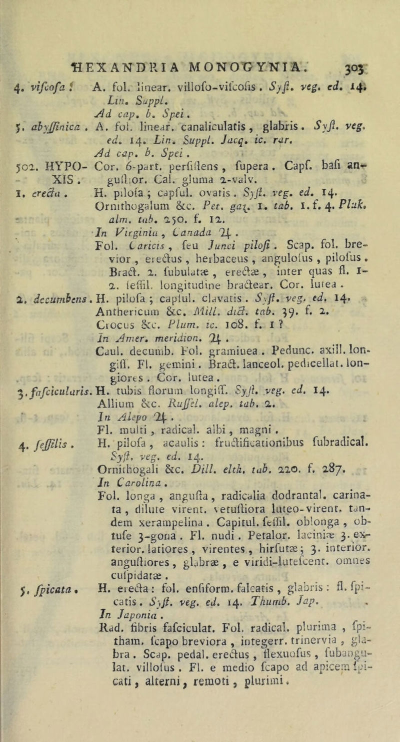 4. vifcofa i A. fol. linear. villofo-vilcofis . Syfi. vcg, ed. 14; Lui. Suppi, yid cap. b. Spei. 5. abyjfinica . A. fol. linear. canaliculatis, glabris. Syfi, veg. ed. 14. Lin. Suppi. Jacq. ic. rar. /id cap. b. Spei . 502. HYPO- Cor. 6-part. perfiflens , fu pera . Capf. bafi an#* XIS . gullior. Cal. gluma 2-valv. I. eredii . H. pilofa ; capful. ovatis. Syji. veg. ed. 14. Ornithogalum &amp;c. Pet. ga^. I. tab. l.t, Pltik, alm. tab. 250. f. 12. In Virginiii , Canada . Fol. Laricis^ feu Junci piloji. Scap. fol. bre- vior, etfcdus , herbaceus, angulolus, pilolus . Brad, 2. fubulatte , erefr&lt;£ , inter quas fl. I- 2. iellil. longitudine bradear. Cor. lutea . 1, decunihetis .H. pilofa ; caplul. clavatis. S\ji. veg.jd. 14. Anthericum &amp;c. Miii. diB. tab. 39* Crocus 8cc. Pium. ic. I08. f. I ? Jn uimer. meridion. 24 . Caul. decunib. Fol. grainiuea . Pedunc. axill. lon- giil. Fl. gemini. Bracl. lanceol. pedicellai. lon- giorts . Cor. lutea. .fafciculuris.H. tubis florum longilT. Syji. veg. ed. 14. Allium &amp;c. RuJJel. alep. tab. 2. In Alepo '24 . Fl. multi, radical. albi, magni . 4. JeJJilis . H. pilofa , acaulis ; frudificationibus fubradical. Syfl. veg. ed. 14. Ornithogali &amp;c. JJill. elth, tab. 220. f. 287. Jn Carolina. Fol. longa, anguRa, radicalia dodrantal. carina- ta, dilute virent, \etuftiora luteo-virent, tan- dem xerarapelina . Capitul. fellil. oblonga , ob- tufe 3-gona . Fl. nudi. Petalor. lacinite 3*.^^ terior. latiores , virentes, hirfutm; 3. interior. anguRiores, gUibrae , e viridi-lutefcent. omnes culpidatae . /picata, H. ereda: fol. enfiforra. falcatis , glabris: fl. fpi- catis. Syji. veg. ed. 14. Thumb. Jap. Jn Japonia . Rad. fibris fafciculat. F’ol. radical. plurtma , fpi- tham. fcapo breviora , integerr. trinervia , gla- bra . Scdp. pedal. eredus, flexuofus, fubangu- lat. villolus . Fl. e medio fcapo ad apicem fpi- cati, alterni, remoti, plurimi.