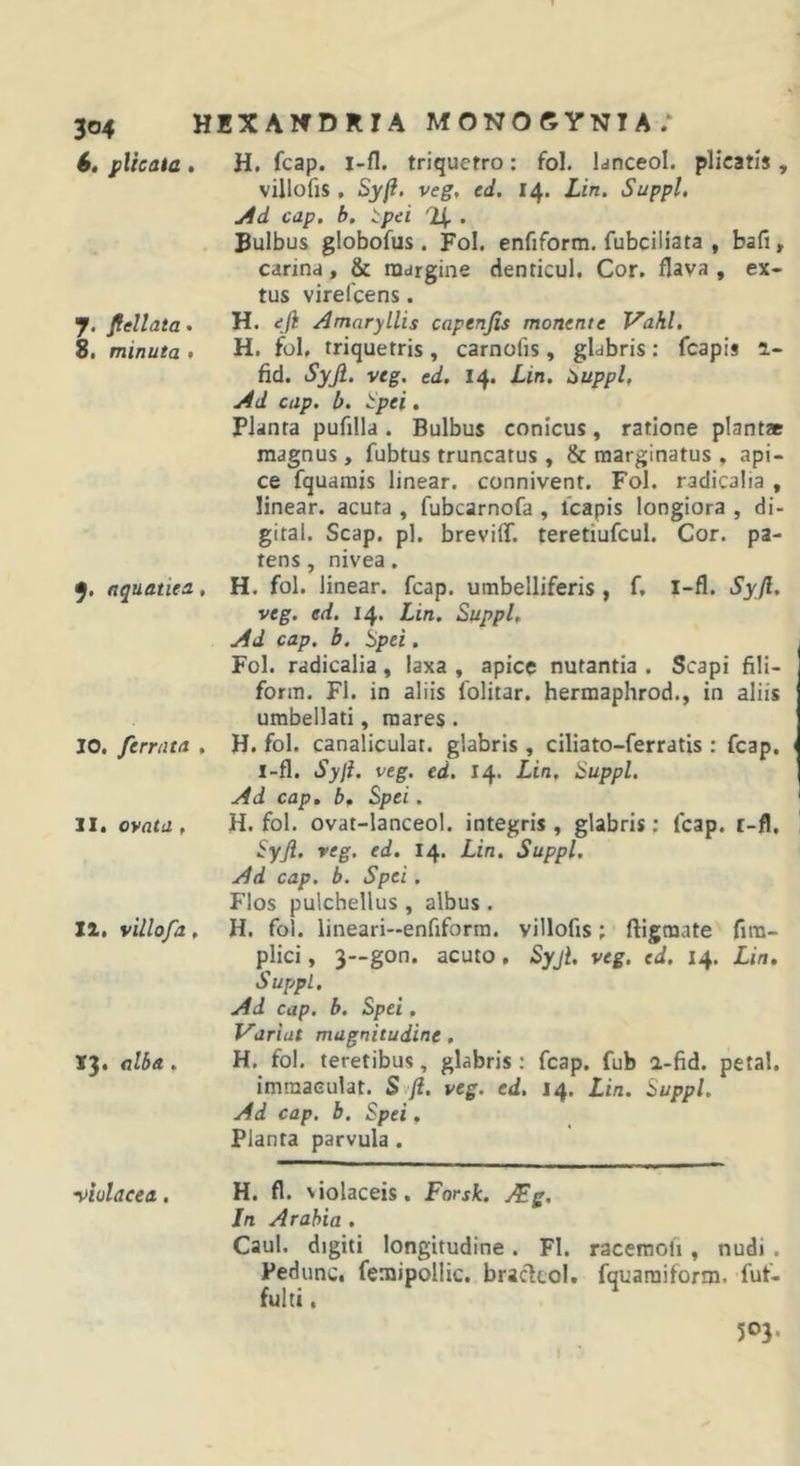 9 4, plicata» y. flellata • 8i minuta &lt; y, aquatica, 10, ferrata , II. ovata , XI. villofa, 13. alba. H. fcap. i-fl. triquetro: fol. Idnceol. plicatis villofis , Sy(i. veg, ed. 14. Lin. Suppi. j4d cap. b, tpei % . Bulbus globofus . Fol. enfiform. fubciliata , bafi, carina, &amp; margine denticul. Cor. flava , ex- tus virefcens. H. eji Amaryllis capenfis monente Vahl. H. fol. triquetris, carnofis, glabris: fcapis 1- fid. Syji. veg, ed. 14. Lin. i&gt;uppl, Ad cap. b. Hpei, Planta pufilla. Bulbus conicus, ratione piant» magnus, fubtus truncatus, &amp; marginatus , api- ce fquarais linear. connivent. Fol. radicalia , linear. acuta , fubcarnofa , fcapis longiora , di- gital. Scap. pl. brevifT. teretiufcul. Cor. pa- tens , nivea. H. fol. linear. fcap. umbelliferis , f, l-fl. Syjl. veg. ed. 14. Lin. Suppi, Ad cap. b. Spei. Fol. radicalia, laxa , apice nutantia . Scapi fili- forin. FI. in aliis folitar. hermaphrod., in aliis umbellati, mares. H. fol. canaliculat. glabris , ciliato-ferratis : fcap, l-fl. Syjl. veg. ed. 14. Lin. Suppi. Ad cap, b. Spei. H. fol. ovat-lanceol. integris , glabris; fcap. i-fl, SyJi. veg. ed. 14. Lin. Suppi. Ad cap. b. Spei. Flos pulchellus , albus . H. fol. lineari-enfiform. villofis; ftigmate fira- plici, 3—gon. acuto, Syjl. veg. ed. 14. Lin, SuppL. Ad cap. b. Spei, Variat magnitudine, H. fol. teretibus, glabris; fcap. fub a-fid. petal. imraaeulat. S ft. veg. ed. 14. Lin. Suppi. Ad cap. b. Spei, Planta parvula . ■violacea. H. fl. violaceis. Forsk. JEg, In Arabia . Caul. digiti longitudine. Fl. racemoli, nudi . Pedunc, femipollic. braclcol. fquaraiform. fuf- fulti. 503.