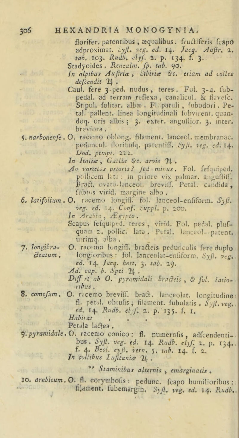 florifer, parentibus , aequalibus; frudiferis fcapo adproximar. Lyji, veg. ed. 14. Jacq. yjujir, 2. tab. 103. Rudb. ilyf. 1. p. 134. f. 3. Sradyoides . Renealm. fp. tab. 90. In alpibus Aujlria y Hibiria &amp;c. etiam ad colles defcendit , Caul. fere 3-ped. nudus, teres. Fol. 3-4. 1'ub- pedal. ad rerram reflexa , canalicul. &amp; flavelc. Stipul. folitar. albae . FI. patuli , fubodori . Pe- tal. pallent, linea longitudinali fubvirent. quan- doq. oris albis ; 3. exfer. anguHior. 3. inter, breviora . narbonenfe , O. racemo oblong. filainent. lanceol. membranae. peduncul. iloiibufq. patentill'. Syjt. veg. ed. 1^, Uod. petupt. 111. In ItatiiT , Guiliit &amp;c. arvis Ti . A') vnrieius prioris/ Jed minus. Fol. fefqiiiped. p( ibeem l.:to ; iu piiore vix palmar. auguilill'. Bradt. ovatu-lanceol. brevilf. Peral. candida , fubtijs virid. margine albo . S, latifolium, 0, racemo longilf. fol. lanceol-enfiform. Syfi. veg. ed. 14. Conf. auppl, p. aoo. In Arabi'., JEg.pto . Scapus Itfquiped. teres , virid. Fol. peda!, pluf- quam 2. pollic. lata . Petal. lancto!--pcjtent. utrimq. a&gt;b3 . 7. longibra- O. racemo longifT. braflcis pedunculis fere duplo deaium , longioribus: fol. lanceolat-eniiform. 'Syji, vtg, ed. 14. Jacq. kart, 3. tab. 29. Ad. cap. b. Spei '2^ . Dijf rt ab O. pyramidali Iradcis , 6’ fol. latio-- ribus . 8. comofum, O. racemo brevilT. brac^. lanceolat. longitudine; fl, petnl. obtufis ; filament. lubulatis . Syjt.veg., ed. 14. Rudb. el f. 2. p. 135. f, i. Habitat , , , Petala latffea . pyramidale. O. racemo conico; fl. numercfis, adfcendenti- bus . SyjL veg. ed. 14. Rudb. elyf. 2. p. 134,. f. 4. Best, eyj}, vern. 5, tab. 14. f. 2. Jn collibus lujitanice . ** Staminibus alternis , emarginatis . IO. arabicum.O. fl. corymbofis: pedunc. fcapo humilioribus; fij'iinent. fubemargin, Syjl, veg, ed, 14. Rudb, y