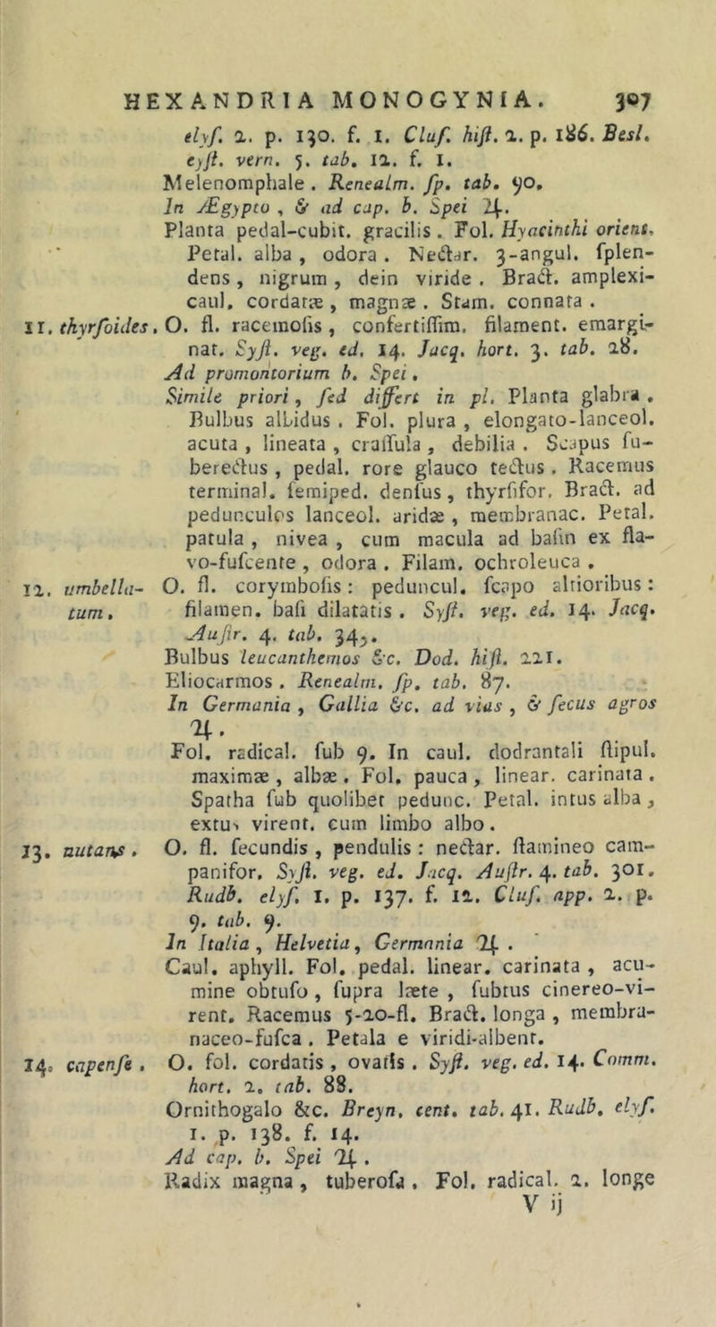 elyf. a. p. 130. f. I. Cluf. hift.l.p. 1^6. Besl, C)jt. vern, 5. tab. 12. f. I. Melenomphale . ReneaLm. fp, tab, In jEgypto , &amp; ad cap. b. Spei 2if. Planta pedal-cubit. gracilis . Fol. Hyacinthi orient, Petal. alba, odora. Nedar. 3-angul. fplen- dens, nigrum , dein viride . Brad:, amplexi- caul, cordatcs , magnae . Stam. connata . 11. thyrfoides. O. fl. racemolis , confertiflira. filaroent. emargi- nat. Syjt. veg. ed, 14. Jacq^, hort. 3. tab. 28. ^d promontorium b. Spei, Simile priori, fed differt in pl. Planta glabra . Bulbus albidus , Fol. plura , elongato-lanceol. acuta , lineata , craffula , debilia . Scapus fu- bereiilus , pedal. rore glauco tedus. Racemus termina!, femiped. denius, thyrfifor. Bracl. ad pedunculos lanceol. aridse , membranae. Petal. patula , nivea , cum macula ad baiin ex fla- vo-fufeente , odora . Filam. ochroleuca , 12. umbella- O. fl. corymbofis: peduncul. fcapo alrioribus: tum, filamen. bafi dilatatis. Syfi. reg. ed. 14. Jacq. ^Aufir. 4. tab. 34^. Bulbus leucanthemos &amp;c. Dod. hi fi. 221. Efliocarmos . Renealm. fp, tab. 87. In Germania , Gallia &amp;c. ad rias , &amp; fecus agros Fol. radica!, fub 9. In caul. dodrantali flipul. maximae, albae. Fol, pauca, linear. carinata. Spatha fub quolibet pedunc. Petal. intus alba, extut virent, cum limbo albo. 13. nutans. O. fl. fecundis, pendulis: neCfar. flamineo cam- panifor, Syji. veg. ed. Jacq. Auflr.tab. 301, Rudb. elyf, I. p. 137. f. 12, Cluf, app. 2. p. 9. tab. 9. In Italia., Helvetia^ Germania 'If . Caul. aphyll. Fol, pedal. linear. carinata , acu- mine obtufo , fupra laete , fubtus cinereo-vi- renf. Racemus 5*20-fl. Brad. longa , membra- naceo-fufea , Petala e viridi-albent. 14. capenfe . O. fol. cordatis , ovatis . Syfi. veg. ed. 14. Cnmm, hort. 2. tab. 88. Ornithogalo &amp;c. Breyn, cent. tab./\l. Rudb, elyf, I. p. 138. f. 14. Ad cap. b. Spei Idy . Radix magna , tuberofa , Fol, radical. 2. longe V ij