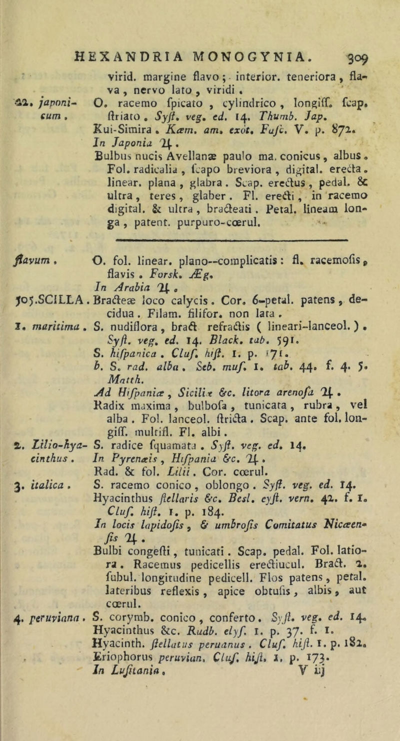 •■12, japoni-- eum , HEX ANDRIA MONOGYNIA. 309 virid. margine flavo; interior, teneriora, fla- va , nervo lato , viridi . O, racemo fpicato , cylindrico, longiiT. fcap, ftriato , Syji, veg, ed. 14. Thunib. Jap, Kui-Simira • Kam. am» cxot, Fuji. V. p. 872.« In Japoniu 'H-, Bulbus nucis Avellanse paulo ma. conicus, albus. Fol. radicalia , 1'capo breviora, digital. erecta, linear. plana , glabra, Scap. eredus , pedal. &amp; ultra , teres , glaber . FI. eredi, in 'racemo digital. &amp; ultra , bradeati. Petal. lineam lon- ga , patent, purpuro-coerul. fiavum , O. fol. linear. plano—complicatis : fl, racemofis, flavis . Forsk, jFg, In Arabia '24 « J05.SCILLA. Bradeae loco calycis. Cor. 6-petal. patens, de- cidua . Filam. filifor. non lata . 1. maritima. S, nudiflora, brad refradis ( lineari-lanceol. ) . Syfi. veg. ed. 14. Black, tab, 59** S. hifpanica . Cluf. hifi. I. p. 171» h. S. rad. alba . Seb. muf. I. tab. 44, f. 4. 5* Matth. Ad Hifpania , Sicili t &amp;c. litora artnofa '24 • Radix maxima , bulbofa , tunicata , rubra , vel alba. Fol. lanceol. ftrida. Scap. ante fol. lon- giflT. multifl. Fl. albi. 2. Lilio-hya- S. radice fquamata . SyJi. veg. ed. 14. cinthus . In Pyrenais , Hifpania &amp;c. '24 • Rad. &amp; fol. Lilii. Cor. coerul. 3. italica . S. racemo conico , oblongo . Syfl. veg. ed. I4. Hyacinthus jiellaris &amp;c. Besl. eyji. vern, 42. f. 1. Cluf. hiji. I. p. 184. In locis lapidofis, &amp; umbrofis Comitatus Nicceen* fis % . Bulbi congefti, tunicati. Scap. pedal. Fol. latio- ra . Racemus pedicellis erediucul. Brad. 2. fubul. longitudine pedicell. Flos patens, petal. lateribus reflexis, apice obtulis, albis, aut coerul. 4. peruviana. S. corymb. conico , conferto. SyjL veg. ed. 14. Hyacinthus &amp;c. Rudb. elyf. i. p. 37. f. I. Hyacinth. ftellatus peruanus . Cluf. Ai/i. I. p. iSl. , Eriophorus peruvian. Cluf. hiJi, I, p. 17^. In Lufiiania, V h)