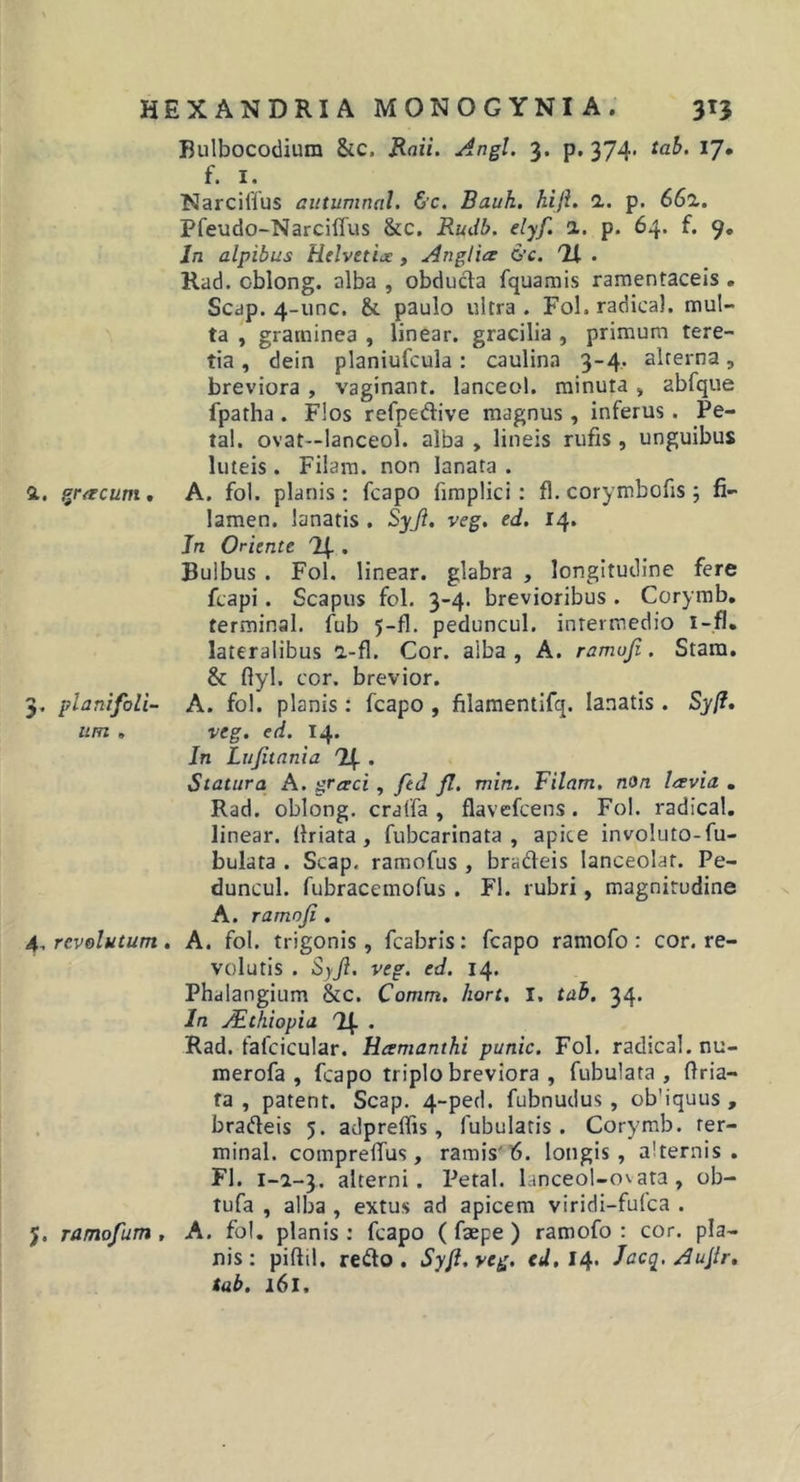 Bulbocodium &amp;c. Raii. Angi. 3. p, 374. tab. 17. f. I. Narcilfus aiitumnal. &amp;c. Bauk. hiji. a. p. 661. Pfeudo-Narciffus &amp;c. Rudb. elyf. a. p. 64. f. 9, In alpibus Helvctix , Anglia &amp;c. IX • Rad. oblong. alba , obducta fquamis ramentaceis . Scap. 4-unc. &amp; paulo ultra . Fol. radica), mul- ta , graminea , linear. gracilia , primum tere- tia , dein planiufcula: caulina 3-4. alterna, breviora, vaginant. lanceol. minuta, abfque fpatha . Flos refpedive magnus, inferus. Pe- tal. ovat—lanceol. alba , lineis rufis , unguibus luteis. Filara. non lanata . a. gracum, A. fol. planis: fcapo firaplici: fl. corymbofis ; fi- lamen. lanatis . Syji. veg, ed. 14. In Oriente . Bulbus . Fol. linear. glabra , longitudine fere fcapi. Scapus fol. 3-4. brevioribus . Corymb, terminal. f^ub 5-fl. peduncul. intermedio i-fl» lateralibus a-fl. Cor. alba, A. ramuji. Stam. &amp; ftyl. cor. brevior. 3. planifoli- A. fol. planis: fcapo , filamentifq. lanatis . Sj/?. iim , veg. ed. 14. In Liijitania • Statura A. graci, fed fl. min. Filam. non lavia , Rad. oblong. cralfa , flavefcens. Fol. radical, linear. (friata, fubcarinata , apice involuto-fu- bulata . Scap. ramofus , bradeis lanceolat. Pe- duncul. fubracemofus . Fl. rubri, magnitudine A. ramoji. 4. rev&amp;lutum, A. fol. trigonis, fcabris: fcapo ramofo : cor. re- volutis . SyJi. veg. ed. 14. Phalangium &amp;c. Comm. hort, I. tab. 34. In Adthiopia 74 . Rad. fafcicular. Hamanthi punic. Fol. radical. nu- merofa , fcapo triplo breviora , fubulata , (fria- ta , patent. Scap. 4-ped. fubnudus, ob’iquus , . bradeis 5. adpreflis, (ubulatis . Corymb. ter- minal. comprelTus, ramis'tS. longis, alternis. Fl. 1-1-3. alterni. Petal. lanceol-o^ ata , ob- tufa , alba , extus ad apicem viridi-fulca . 5. ramofum , A. fol. planis : fcapo ( faepe ) ramofo : cor. pla- nis: piftil. redo. Syfi.veg. «4, 14. Jacq. Aujlr, tab. 161.