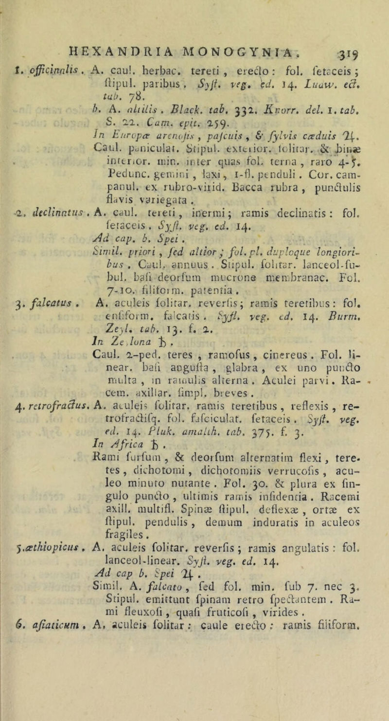 t. officinnlis. A. cau!. herbae, tereti, eredo ; fol. fetaceis; flipul. paribus. S)lt, veg» fd. 14. Luaw. ed, tab. 78. b. A. nliilis , Black, tab. 332. Knorr. dei. 1. tab. S. Z1. Cam. epit. 159' Jn hurepee arenalis , pajcuis , 6’ fyivis cceduis 1\. Caul. puuiculai. 8tipul. txrtiior. loliiai-. &amp; hinse inttrior. iiiin. inter quas fol. terna, raro Pedunc. geiiiini , laxi, i-fl. penduli . Cor. cam- panul. ex rubro-virid. Bacca rubra , pundulis flavis variegata . ■2., declinatus. A. caul. tereti, inermi; ramis declinatis; fol. letaceis . SyJ. vtg. ed. 14. cap. b. Spei . Simii, priori y jed altior ‘ fol. pl. duploque longiori^ bus . Caul. annuus. Stipul. folitar. lanceol-fu- bul. bali deorfum mucrone membranae. Fcl. 7-10. fiiitoira. patentia. ^.falcatus, A. aculeis folitar. reverlis; ramis teretibus: fol, enfifoim. falcatis . S.yjl, yeg. ed. 14. Burm, Ze;&gt;/, tab. 13. f. 2. In Zejona ^ . Caul. a-ped. teres , ramofus, cinereus . Fol. II- near. bati angulia , glabra, ex uno pundo nuilta , in ramuhs alterna . Aculei parvi. Ra- , cem, axillar. limpl. breves . df.rctrofraclus, A. aculei? folitar. ramis teretibus, reflexis, re- trofradifq. fol. fjfcicuiat. fetaceis. Syf. veg. ed. 14. Pluk. anialih. tab. 375. f. 3. In frica J» . Rami furfum , &amp; deoifum alrernatiin flexi, tere- tes , dichotomi, dichotomiis verrucofs, acu- leo minuto nutante . Fol. 30. &amp; plura ex fin- gulo pundo , ultimis ramis infidencia . Racemi axill. niultifl. Spinae (lipul. deflexae , ortae ex llipul. pendulis, demum induratis in aculeos fragiles. 'y.eethiopicus, A. aculeis folitar. reverfis ; ramis angulatis: fol. lanceol-linear. Syji. veg. ed. 14. Ad cap b. Spei . Simi!. A. falcato, fed fol. min. fub 7. nec 3. Stipui. emittunt fpinam retro fpedantem . Ra- mi fleuxof , quafi fruticofi , virides . 6. ajiaticum, A. aculeis folitar; caule eiedo; ramis fiiifortn.