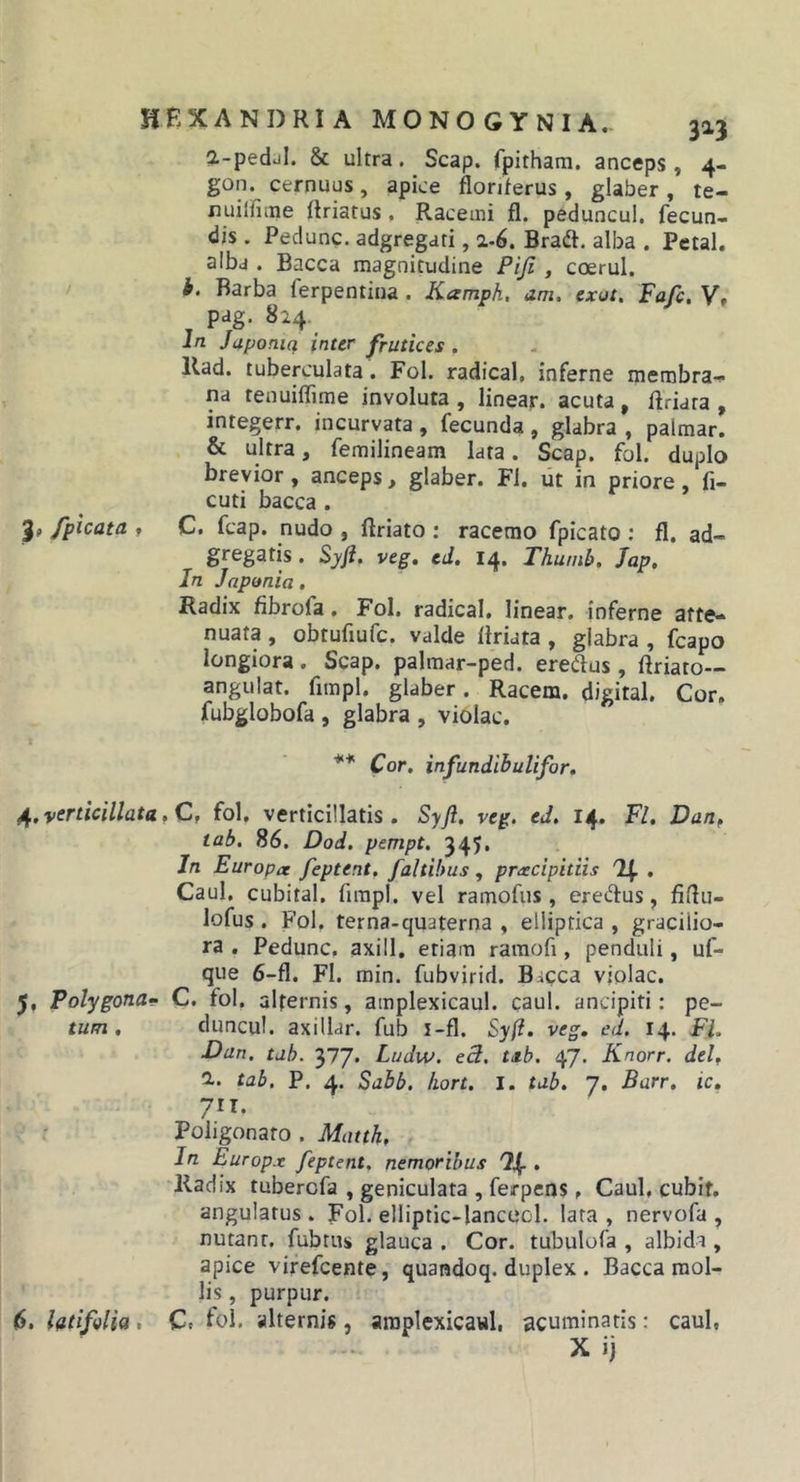 ?.-pedjI. &amp; ultra. Scap. fpitham. anceps , 4- gon. cernuus, apice flonferus, glaber, te- nuilfiine Rriatus , Racemi fl. peduncul. fecun- dis . Pedunc. adgregari, 2-6. Braft, alba . Petal. alba . Bacca magnitudine Piji , coerul. i. Barba ferpentina. Kamph, am. cxot, Fafc, V» pag. 824. In Japoniq inter frutices . Kad. tuberculata. Fol. radical, inferne membra-- na tenuiffime involuta , linear. acuta, Rriata , integerr. incurvata , fecunda , glabra , palmar. &amp; ultra, femilineam lata. Scap. fol. duplo brevior, anceps, glaber. Fi. iit in priore, fi- cuti bacca . 3, /picata f C. fcap. nudo , ftriato : racemo fpicato ; fl. ad- gregatis. Syft. veg, cd, 14. Thunib, Jap, In Japonia, Radix fibrofa, Fol. radical. linear. inferne atte- nuata , obtufiufc. valde liriata , glabra , fcapo longiora . Scap. palmar-ped. eredus , ftriato— angulat. fimpl. glaber. Racem. digital. Cor. fubglobofa , glabra , violae. ** Cor. infundlhulifor. 4. verticillata,Cf fol. verticillatis . Syfl. veg. ed. 14. Fl, Dan^ tab. 86. Dod, pempt, 345« In Europa feptent. faltihus , prxeipitiis 'IJ. . Caul. cubital, firapl. vel ramofus , ereiffus, fiflu- lofus . Fol. terna-quaterna , elliptica , gracilio- ra , Pedunc. axill, etiam raraofi, penduli, uf- que 6-fl. Fl. min. fubvirid. Bacca violae. 5, Polygona-- C. fol. alfernis, amplexicaul. caul. ancipiti: pe- tum , duncul. axillar. fub i-fl. Syfl. veg, ed. 14. Fl. Dan. tab. 377. Ludw. ecl. tab. 47. Knorr. delf 2-. tab. P. 4. Sabb. hort. I. tab. 7. Barr, ic, 71T. r Poiigonato . Matth, In Europx feptent. nemoribus . Radix tuberefa , geniculata , ferpens, Caul, cubit. angulatus. Fol. elliptic-lanceol. lata, nervofa , nutant, fubtus glauca . Cor. tubulofa , albida , apice virefeente, quandoq. duplex . Bacca mol- lis , purpur. 6. latifolia, Cc fol. alternis, araplexicawl, acuminatis: caul,