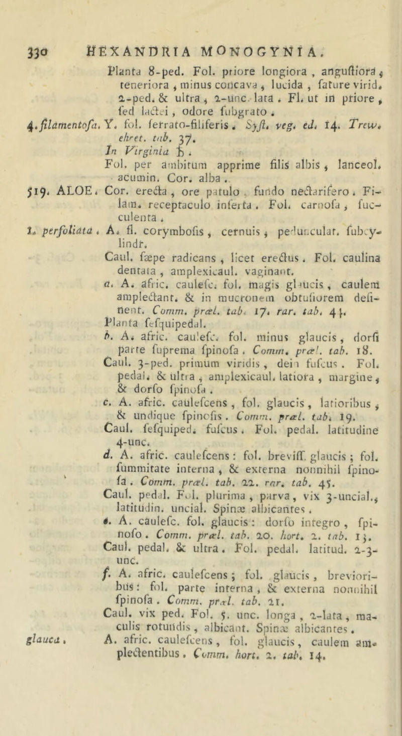 Plantd 8-ped. Fol. priore longiora, angufliora 4 teneriora , minus concava i lucida, fature virid. a-ped. &amp; ultra ^ a-unc. lata * Fl. ut rn priore , fed Iric^fei, odore fubgrato . ^.filamentofa.Y. fol, ferrato-filiferis, Syji, vegi edi 14. Trew, ekret. tab. yf. In Virginia 1) ^ f’ol. per amiiitum apprime filis albis , lanceol. acuinin. Cor. alba . 519. ALOE. Cor. eredta , ore patulo, fundo neiflarifero . Fi- lam. receptaculo inferta. Fol. carnofa, fuc- culenta . 1. perfoliata , A. fl. corymbofis , cernuis j pedur.culat. fubcy- lindr. Caul. faepe radicans , licet eredus. Fol. caulina dentaia , amplexicaul. vaginant. o. A. afric. caulefci fol. magis glaucis, caulem araplec^ant, &amp; in mucronem obtuliorem defi- nent. Comm, pral. tubi IJt rar, tabt 4 Planta fefquipedal. h. hi afric. caulefc. fol. minus glaucis, dorfi parte fuprema fpinofa . Comm» prarl, tab. 18. Caul. 3-ped, primum viridis, dei 1 fufcus . Fol. pedali &amp; ultra ,j amplexicaul. latiora , margine ^ &amp; dorfo fpinofa . c. A. afric. caulefcens , fol. glaucis, latioribus ^ &amp; undique fpincfis . Comm. pral. tubi 19. Caul. fefquipedi fufcus. Fol. pedal. latitudine 4-unc. d. A. afric. caulefcens: fol. brevifr. glaucis; fol. fummitate interna , &amp; externa nonnihil ipino- fa . Comm. pral. tab. 11. rnr. tab. 45. Caul. pedal. Fol. plurima, parva, vix 3-unciaI., latitudin. uncial, Spinm albicantes. A. caulefc. fol. glaucis: dorfo integro, fpi- nofo . Comm. pral. tab. IO. hort. 1. tab. Ij. Caul. pedal. Sc ultra. Fol. pedal. latitud. a-3- unc. f. A. afric. caulefcens; fol. glaucis, breviori- bus : f)l. parte interna , &amp; externa nonnihil fpinofa . Comm. pr.tl. tab. ir. Caul. vix ped.^ Fol, 5. unc. longa, a-lata, ma- culis rotundis, albicant. Spinae albicantes. glauca, A. afric. caulefcens, fol. glaucis, caulem am- pledentibus, Comm. hort. 1, tab, 14.