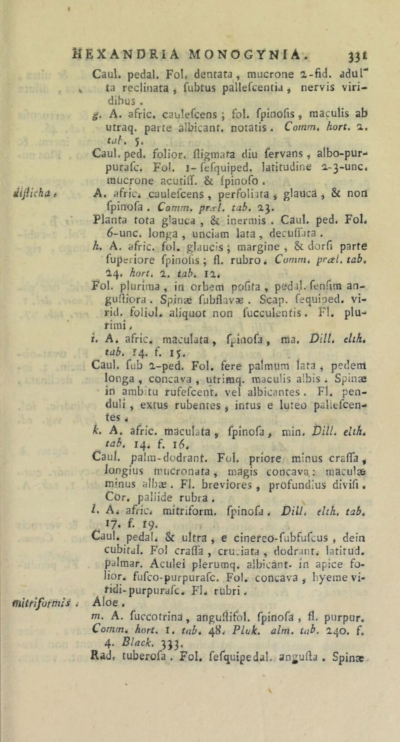 I HEXANDRIA MONOGYNIA. 33t Caul. pedal. Fol. denrata, mucroae a-fid. aduT V ta reclinata , fubtus pallefcentia j nervis viri- dibus . g. A. afric. caulefcens ; fol. fpxnofis , maculis ab utraq, parte albicant, notatis . Comm, hort. a. tui. 5. Caul. ped. folior. fiigmata diu fervans ^ albo-pur- purafc. Fol. i- fefquiped. latitudine a-3-unc. mucrone acutilf. &amp; Ipinofo . dijiUkat A. africi caulefcens, perfoliata j glauca, &amp; non fpinofa . Comm. prxl. tab. 13* Planta tota glauca , &amp; inermis . Caul. ped&lt; Fol&lt; 6-unC. longa , unciam lata, decuffata . h. A. afric. fol. glaucis ; margine ^ &amp; dorfi parte fuperiore fpinofis ; fl. rubro ^ Comm. pral.tab, 24. hort. 1. tab. II, Fol. plurima , in orbem pofifa , pedal. fenfim an- gufliora . Spinae fubflavae . Scap. fequipecl. vi- ricl. foliol. aliquot non faeculentis. Fl. plu- rimi , t. A. afric. maculata, fpinofa, raa. DHL dth, tab. 14. f. 15. Caul. fiib a-ped. Fol. fere palmum lata , pedetri longa , concava , utrimq. maculis albis . Spinae in ambitu rufefcenr. vel albicantes . Fl. pen- duli , extus rubentes , intus e luteo paliefcen- tes &lt; k. A. afric. maculata , fpinofa &gt; min. Diil. elth, tab. 14. f. 16, Caul. palm-dodrant. Fol. priore minus crafTa, longius mucronata, magis concava: maculae minus albag. Fi. breviores , profundius divifi • Cor. paliide rubra . l. Ai afriCi mitriform. fpinofa, DHL elth. tab, 17. f. 19. Caul. pedal. &amp; ultra j e cinereo-fubfufcus , dein cubital. F’ol craffa , cruciata , dodrante latitud. palmar. Aculei plerumq. albicant, in apice fo- lior. fufeo-purpurafe. Fol. concava, hyeine vi- ridi-purpurafe. Fl* rubri. ihitrlformis .• Aloe, m. A. fuccotrina, angullifol. rpinofa , fl. purpur, Comm. hort. I. tabi 48. Pluk. alm. tab. 140. f, 4. Black. 333. Rad, tuberofa . Fol, fefquipedal, angufta . Spinae