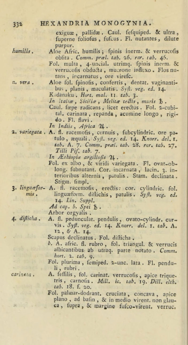 exiguae , pallidae. Caul. fefquiped. &amp; ultra, fuperne foliofus , fuRus . FJ. nutantes, dilute purpur. humilis, Aloe Afric. humilis ; fpinis inerm. &amp; verrucofis obfita . Comm, pral. tab. l6. rar, tab. 46. Fol. multa, 4-uncial. utrimq. fpinis inerm. &amp; verrucofis obduCla , mucrone inflexo . Flos nu- tans , incarnatus, ore virefc. n. vera . Aloe fol. fpinofis, confertis , dentat. vaginanti- bus , planis , maculatis . Syft. veg. ed. 14. Kddanaku . Hart. mal. ll. tab. 3. Jn Italice f Sicilice, Melita te Bis , muris . Caul. faepe radicans , licet eredus . Fol. a-cubi- tal. carinata, repanda, acumine longo, rigi- do . FI. flavi. In Jndiis , ydfrica H.. 2. variegata , A. fl. racemofis, cernuis, fubcylindric. ore pa- tulo, aequali. Syji. veg. ed. 14. Knorr. del.l, tab. A. 7. Comm, pral. tab. 18. rar, tab, TJ, Tilli Pif, tab. 7. , In JEthiopiac argillojis '1^ , Fol. ex albo , &amp; viridi variegata . Fl. ovat-ob- long. fubnutant. Cor. incarnata , lacin. q. in- terioribus alternis, patulis . Stam. declinata . Stigm. fimpl, 3. lingucefor- A. tl. racemofis, eredlis: cor. cylindric. fol. mis, linguaeform. diftichis , patulis . SyJi. veg. ed, 14. Lin. Suppi, j4d cap. b. Spei . Arbor orgyalis . 4. difiicha, A. fl. pedunculat. pendulis, ovato-cylindr. cur- vis . Syft. veg. ed. 14. Knorr. dei. I. tab, A. 12,, 6” A. 14. Scapus declinatus. Fol. difiicha. b. A. afric. fl. rubro , fol, triangul. &amp; verrucis albicantibus ab utraq. parte notato. Comm, hort. 2. tab. 9. Fol. plurima , femiped. i-unc. lata . Fl. pendu- li , rubri. A. fefiilis, fol. carinat, verrucofis, apice trique- tris, carnofis. Mill. ic. tab. 19. Dill. elth, tab. 18. f. 20. Fol. palinar-dodrant. cruciata , concava , apice plano , ad bafin , &amp; in medio virent, non glau- ca , fupra , 8c margine fufco-virent, verruc. carinata