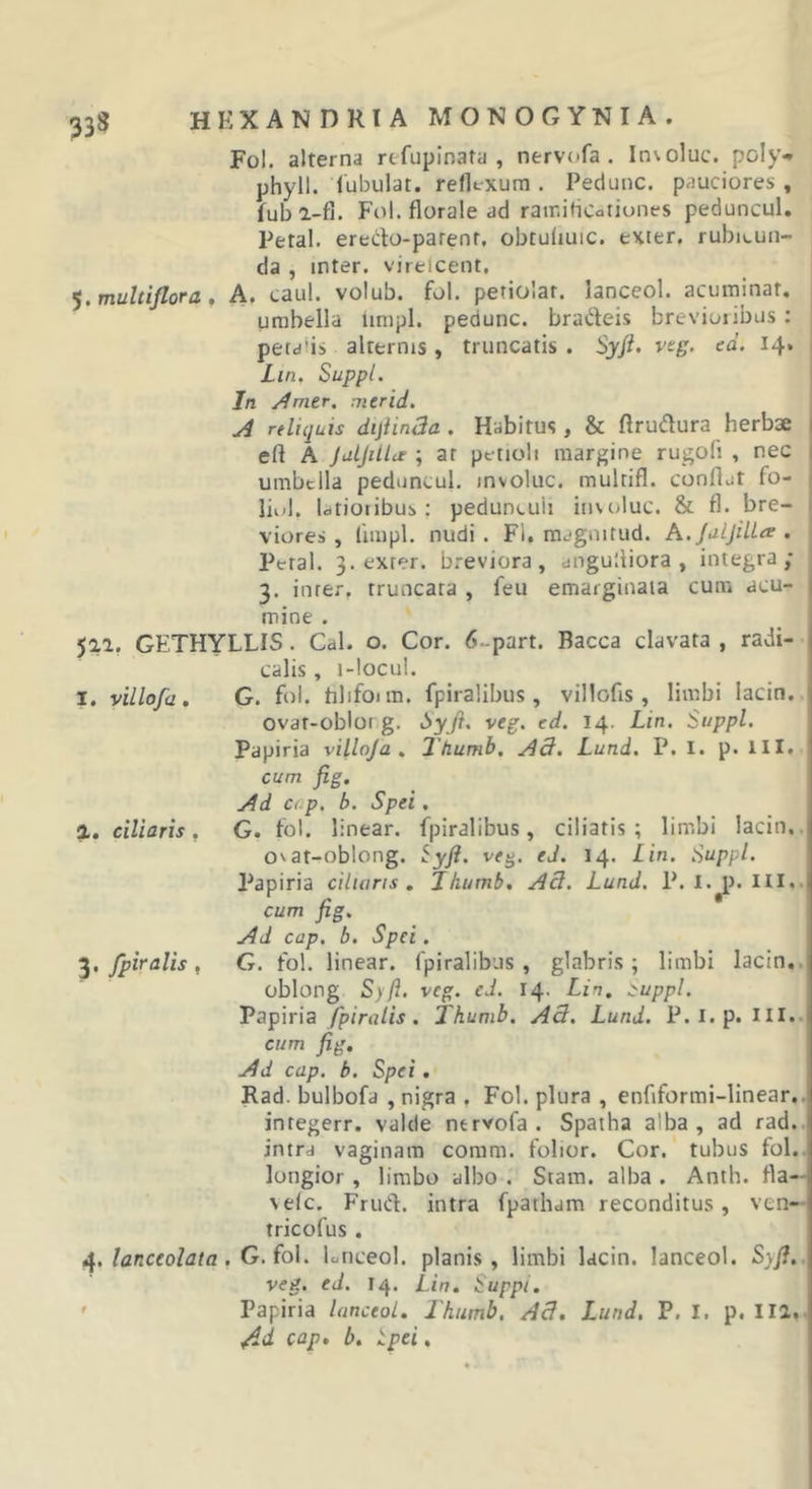 Fol. alterna rcfupinata , nervofa . In\oluc. poly&gt;* phyll. fubulat. reflt-xum . Pedunc. pauciores , fuba-fi. Fol. florale ad rair.iHcationes peduncul, Petal. eredo-parenr, obtulmic. exter. rubiLun- da , inter, viretcent. ^.multiflora, A. caul. volub. fol, petiolar. lanceol. acuminat. umbella iimpl. pedunc. bradeis brevioribus; petdiis alternis, truncatis . SyjL veg. ed. 14. Lin. Suppi. In Amtr, mtrid, A reliquis dijiinSa . Habitus, &amp; ftrudura herbae eft A JulJilla ; at petioli margine rugofi , nec umbella peduncul. involuc. multifl. conflut fo- liid. Idtiotibus: pedunculi involuc. &amp; fl. bre- viores , (iiiipl. nudi . Fl. magnitud. A.JuljiUa . Petal. 3, exter, breviora, diigulliora , integra/ 3. inter, truncata , feu emarginaia cum acu- mine . jai, GETHYLLIS. Cal. o. Cor. 6.-part. Bacca clavata , radi- calis , i-locLil. I. villofa, G. fol. tilifoim. fpiralibus , villofis , limbi lacin. ovat-obloi g. veg. ed. 14. Lin. Suppi. Papiria villofa. Itiumb. A3. Lund. P. I. p. III. cum fig. Ad C(.p. b. Spei. a. ciliaris, G. fol. linear. fpiralibus, ciliatis; limbi lacin.. ovat-oblong. ^yj}. veg. ed. 14. Lin. Suppi. Papiria ciliaris, Jhumb, Ad. Lund. P. I. p. III.. cum fig. Ad cap. b. Spei. fpiralis, G. fol. linear. fpiralibus, glabris; limbi lacin.. oblong Syft. veg. ed. 14. Lin. ^uppl. Tafima fpiralis. Thumb. Ad. Lund. P.l.p. III.- cum fig. Ad cap. b. Spei. Rad. bulbofa , nigra . Fol. plura , enfiformi-linear.. integerr. valde ntrvofa . Spatha alba, ad rad. intra vaginam comm. folior. Cor. tubus fol.. longior, limbo albo . Stam. alba . Anth. fla— velc. FruCf. intra fpatham reconditus, ven— tricofus . lanceolata . G, fo\. Lticeol. planis, limbi lacin. lanceol. Syfi, veg. ed. 14. Lin, Suppi, ' Papiria lanceol, Thumb. Ad. Lund. P. I. p. III.- ^d cap. b. tpei.