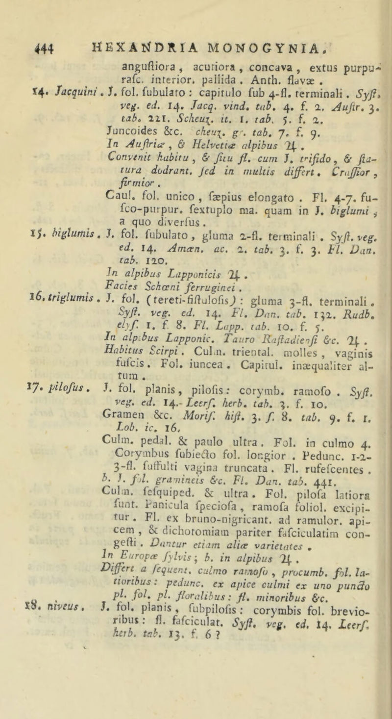 anguftiora , acuriora , concava , extus purpu- rafc. interior, paliida . Anth. flavae . 14. Jacquini. J. fol. fubulato ; capitulo fub 4-fl. terminali. Syfl» veg. ed. 14. Jacq. vind, tnb. 4. f. 1. ^ujir. 3. tab, llt. Sckeui. it. I. tab. 5. f. a. Juncoides &amp;c. cheui. g-. tab. 7. f. 9. In Aufiriie , fir Helvetice alpibus 24- . Convtnit habitu , &amp; Jiiu fl, cum I, fijido, &amp; fla- tura dodram, Jed in multis differt. Crajfior, firmior . Cau!. fol. unico , faepius elongato . Fl. 4-7. fu- fco-puipur. fextuplo ma. quam in J. biglumi ^ a quo diverfus . If, biglutnis. J. fol. fubulato, gluma i-fl. terminali . Syfi.veg. ed. 14. Ameen. ac. 1. tab. 3. f. 3. hl. Dan. tab. 120. In alpibus Lapponicis '24- . ^ _ Fodes Schoeni ferruginei . lo.triglumis. J. fol. (tereti-fiflulofisj : gluma 3-fl. terminali, Syfi. veg. ed. 14. Fl. Dan. tub. 152. Rudb. ^lyf I. f Fl. Liipp. tab. IO, f. 5. In alpibus Lapponic. Tauro Rafladienfi &amp;c. Ij, . Habitus Scirpi. Cul.n. triental. molles, vaginis tufcis, Fol. iuncea . Capitul. inaequaliter al- tum . ^1 • pilofus. J. fol. planis, pilofis: corymb. ramofo . Syfi. veg. ed. J^.-Leerf. herb. tab. 3. f. 10. Gramen &amp;c. Morif. hifi. 3./. 8. tab. 9. f. r. Lob. ic. 16. Culin. pedal. &amp; paulo ultra. Fol. in culmo 4. Corymbus fubie(flo fol. Ior:gior . Pedunc. 1-2- 3-fl.^ futfulti vagina truncata . Fl. rufefcentes . b^ J. f,l. gramineis &amp;c. Fl. Dan. tab. 441. Cidm. iefquiped. &amp; ultra. Fol. pilofa latiora funt. Panicula fpeciofa , ramofa foliol. excipi- tur. Fl. ex bruno-nigricant. ad rarnulor. api- cem, &amp; dichotomiain pariter fafciculatim con- gefli . Dantur etiam alier varietates , In Europa fylvis-, b. in alpibus . Differt a fequent. culmo ramofo , procumb. fol. la- tioribus : pedunc. ex apice culmi ex uno pun3o y , P^’ P\' floralibus: fl. minoribus &amp;c. XiS, niveus. S. fol. planis, fubpilofis ; corymbis fol. brevio- ribus ; fl. fafciculat. Syfi. veg. ed. I4. Leerf.