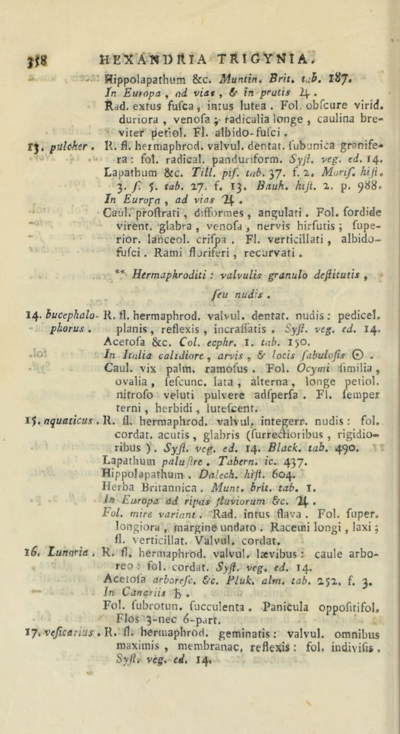 jjg HEX*ANDI1IA trigyt^ia, —Hippolapathum &amp;c. Muntin, Brit, tuh, 187» Jn Europa , nd viat , &amp; in~pratis 1\.. Rdd. extus fufca, intus lutea. Fol. obfcure virid. duriora , venofa radicalia longe , caulina bre- ' viter petiol. Fl. albido-fulci. rj, pulcher, U. fl. hermaphrod. valvul. dentat. 1'ubunica granife- * ra: fol. radical. panduriform. Syjl. veg. ed, 14. Lapathum &amp;c. Titi. pif. tub.y/. f. Monf. hi fi. 3. f. 5. tab. 27. f, 13. Bauk. hijt. 2. p. 988r In Europa , ad vias Caiil. proftrati, difformes, angulati. Fol. fordide “ ■ virent, glabra , venofa , nervis hirfutis ; fupe- rior. lanceol. crifpa . FI. verticillati , albido- fufci. Rami floriferi, recurvati. Hermaphroditi: valvulis granulo dejiitutis , feu nudis . 14. R. fl, hermaphrod. valvul. dentat. nudis: pedicel, phorus . planis , reflexis , incralfatis . Syft. veg. ed. 14. Acetofa &amp;c. Coi. ecphr. I. tab. 150. -'OI In Italia calidiore , arvis , &amp; locis fabulofis © . • Caul. vix palm. ramolus . Fol. Ocymi iimilia , ovalia , fefcunc. lata , alterna, longe petiol. nitrofo veluti pulvere adfperfa . Fl. femper terni, herbidi, lutefcent. aquaticus .R. fl. hermaphrod. valvul. integerr. nudis: fol. cordat. acutis, glabris (furredioribus , rigidio- ribus ) . Syji. veg. ed. 14. Black, tab. 490. Lapathum palujlre . Tabern. ic. 437. Hippolapathum . Dalech. hijt. 604. Herba Britannica . Munt. brit. tab, i. • Jn Europa ad ripas fluviorum &amp;c. Uif. . Fol. mire variant. Rad. intus flava . Fol. fuper. longiora , margine undato . Racemi longi, laxi; fl. verticillat. Valvul. cordat. 16, Lunaria , R, fl. hermaphrod. valvul. laevibus: caule arbo- reo : fol. cordat. Syfl. veg, ed. 14. Acetofa arborefc. &amp;c. Fluk, alm. tab. 252, f. 3. In Canariis • Fol. fubrotun. fucculenta. Panicula oppofitifol. Flos 3-nec 6-pdrt. 17, vejicanus , R, fl. hermaphrod. geminatis: valvul. omnibus maximis , membranae, reflexis : fol. indivifis . Sy flt veg. ed. 14,