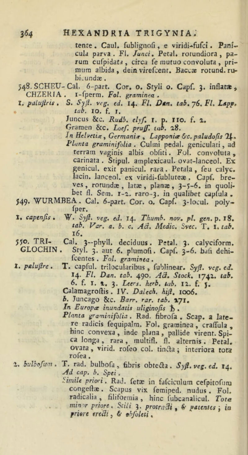 tenre . Caul. fublignofi, e viridi-fufci. Pani- cula parva. FI. Junci, Petal. rotundiora, pa- rum cufpidatJ , circa fe mutuo convoluta , pri- mum albida , dein virefcenr. Baccae rotund. ru- bicundae . 548, SCHEU-Cal. 6-part. Cor. o. Styli o. Capf, 3. inflatas, CHZEHIA . l-fperm. Fol. graminea . I. palujlris, S. Syji. veg. ed. 14. Fl, Dtn, tai, j6, FI. Lapp, • tub. IO. f. r. Juncus &amp;c. Rudb. elyf. r. p. no. f. 1. Gramen &amp;c. Loef. prujf. tub. 2.8. Jn Helvetia: y Germania , Lapponitr &amp;c, paludofis F latita graminifolia . Culmi pedal. geniculati, ad terram vaginis albis obfiti. Fol. convoluta, carinata . Stipul. amplexicaul. ovat-Ianceol. Ex genicul. exit panicul. rara. Petala, feu calyc. lacin. lanceol. ex viridi-fubluteae . Capf. bre- ves , rotundae, latae, planae, 3-5-6. in quoli- bet fl. Sem. i-a. raro-3. in qualibet capfula , 549* WURMBEA. Cal. 6-part. Cor. o. Capf. 3-IocuI. poly- fper. I. capenjis, W. Syjl. veg. ed. 14. Thumb. nov, pl. gen. p.lS, tab. Var. a. b. c. Ad. Medie. Svec. T. l, tab, 16. 550. TRI- Cal. 3—phyll. deciduus. Petal. 3. calyciforra. GLOCHIN . Styl. 3. aut 6. piumofi. Capf. 3-6. bafi dehi- fcentes . Fol. graminea. 1. paluflre, T. capful. trilocularibus, fublinear. Syfl. veg. eJ. 14. Fl. Dan. tab. 490. Ad. Stock, 1741. tab. 6. f. r. 1, 3. Leers. herb. tab. ii. f. j. Calamagroftis. IV. Dalech. hiji, 1006. b. Juncago &amp;c. Barr. rar. tab. Xji, Jn Europtr inundatis uliginojis 1), Planta graminifolia. Rad. fibrofa . Scap. a late- re radicis fequipalra. Fol. graminea, craflula , bine convexa , inde plana, pallide virent. Spi- ca longa , rara , multifl. fl. alternis. Petal. ovata, virid. rofeo coi. tintla; interiora tota rofea. ■l. bulhofam . T. rad. bulbofa , fibris obte^a . Syf. veg. ed. 14. Ad cnp. h. Spei. Simile priori. RaJ. fetae in fafciculum cefpitofuna congeftae. Scapus vix femiped. nudus, Fol. radicalia , filiformia , hinc fubcanalicul. Tota min-ir priore. Stili 3. protrudi, ^ patentes', ia priore eredi, &amp; abfoleti.