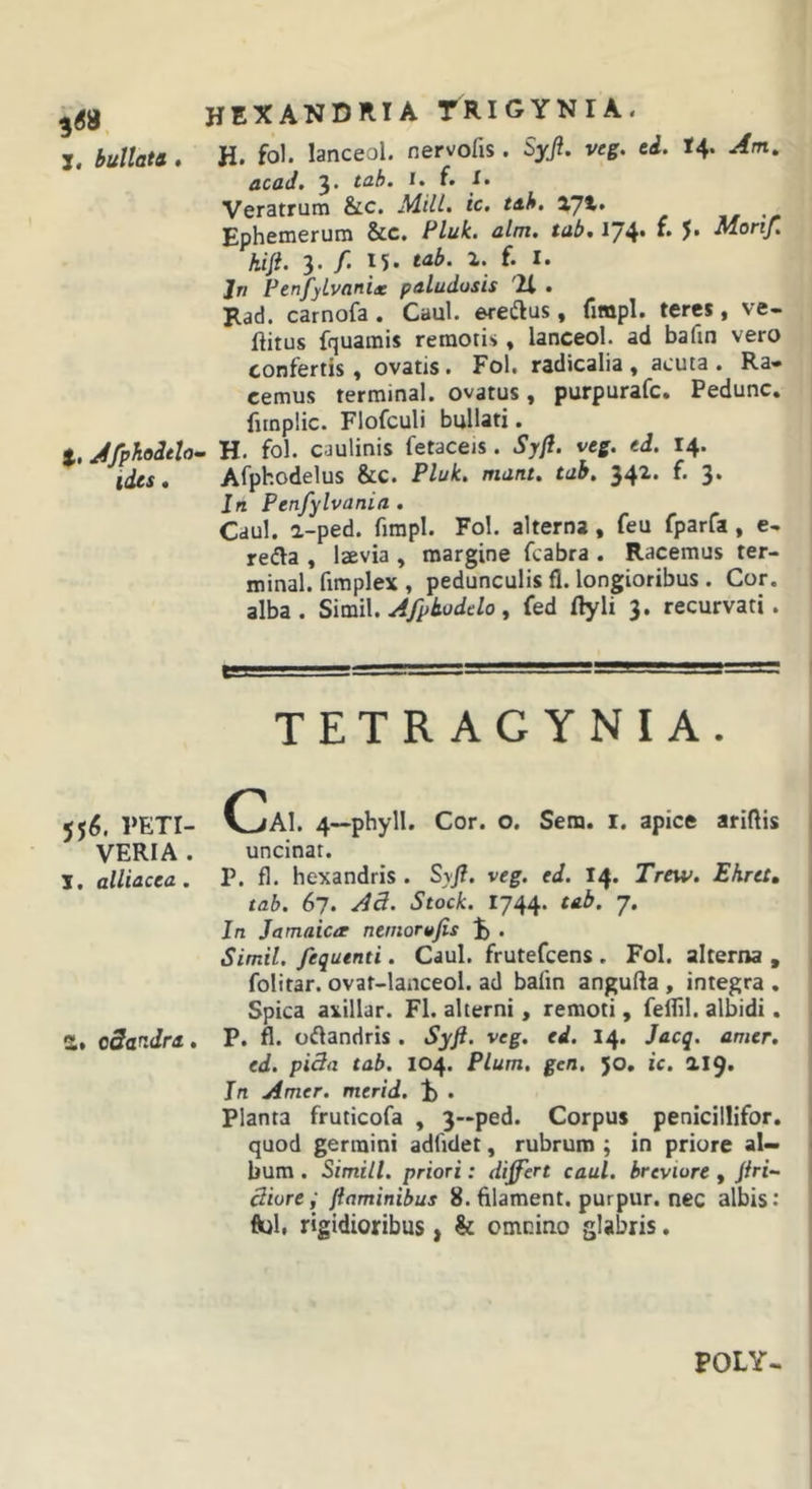 i. Jfphoitlo ides. 556. PETI- VERIA . j. alliacea. a. oSandra HEXANDRIA TRIGYNIA. H. fol. lanceol. nervofis. Syft, veg. ei. t4. Am, acaJ. 3* tah. i» (• t. Veratrum &amp;c. Mill. ic. tab, X]%. Ephemerum &amp;c. Pluk. alm, tabm 174* ** 5* M.orij, kifi. 3. /. 15. tab. 1. f. I. Jn FenfylvanU paludosis '2i . Rad. carnofa . Caul. ereftus , fimpl. teres, ve- ftitus fquamis remotis» lanceol. ad bafin vero confertis, ovatis. Fol, radicalia , acuta . Ra- cemus terminal. ovatus, purpurafc. Pedunc. funpiic. Flofculi bullati. - H. fol. caulinis fetaceis. Syji. veg. ed. 14. Afphodelus &amp;c. Pluk. mant. tab. 34a. f. 3. In Penfylvania . Caul. a-ped. firapl. Fol. alterna, feu fparfa, e- redla , laevia , margine fcabra . Racemus ter- minal. fimplex , pedunculis fl. longioribus . Cor. alba. Sim\. Afpkoddo y fed ftyli 3. recurvati. TETRAGYNIA. C^Al. 4—phyll. Cor. o. Sem. i. apice ariftis uncinat. P. fl. hexandris . Syfl. veg. ed. 14. Trew. Ehretm tab. 67. A3. Stock. 1744. tab. 7. In Jamaictr nemorttfis J) . Simii, fequenti. Caul. frutefcens , Fol. alterna , folitar. ovat-lanceol. ad bafin angufta , integra . Spica axillar. Fl. alterni, remoti, feffil. albidi. P, fl. oflandris. Syjl. veg. ei. 14. Jacq. amer, ed. pi3a tab. 104. Pium, gen, 50. ic. 0.1^, In Amer, merid. t . Planta fruticofa , 3—ped. Corpus penicillifor. quod germini adfidet, rubrum ; in priore al- bum . Simili, priori: differt caul. breviore , /fri- diore; finminibus 8. filament. purpur. nec albis: flui, rigidioribus, &amp; omnino glabris. POLY-