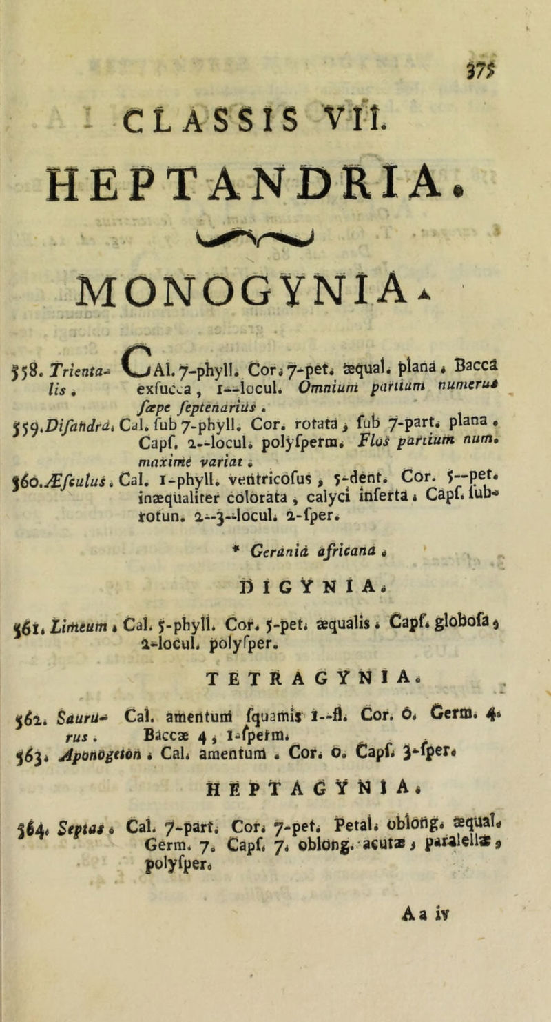 : CLASSIS VLL HEPTANDRIA. MONOGYNIA* 558. trknta- CA1.7-phyll. Cor,7*pet* fcqual. plana* Baccl lis * exfuc^a , l—locuU Omnium partium numerus ^ fape feptendriiis , &lt;^Q,DifahdrdiCd\»{u\)j-phy\\, Cor, rotata&gt; fub y-part* plana. Capf, a--loculi polyfperna* Flos pardum num» maxime variat • %6o.Mfeulus iCa\. i-phyll. vetitricofus j 5-dent* Cor. inaequaliter colorata j calyci inferta« Capu lub* totun. 2,--3~locuU a-fper. * Gerania africana. * ^ i) I G Y N I A* 561» Limeum« CaL j-phyll* Cor* J-pet* aequalis * Capf* globofa^ a4oCuL polyfper. TETRAGYNIA* Sauru-^ Cal. amcntuni fquamis Cor. 6* Cerm. 4* rus . Baccae 4 j l^fpetra* 5(^3* jiponogtton * Cal* amentuni • Cor* 6* Capf* HEPtAGYiaiA* 564* Septas« Cal* 7*part* Cor* 7-pet* Petal* obldfig* aqua!* Germ* 7. Capf* 7* oblOtig*' acutae j paralell«j polyfper*