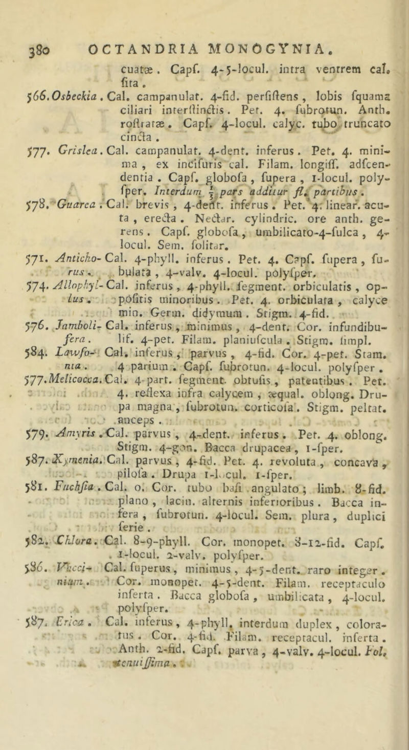 cuats. Capf. 4&gt;5-locuI. intra ventrem cal. fira. ')66,Osbeckia carapanulaf. 4-fid. perfiftens , lobis fquama ciliari interllindis. Per. 4. fubratun. Antb. roftrarae. Capf. 4-locul. caly,c. tubo, truncato cincta . 577, Grislea,C^\. catnpanulat. 4-dent. inferus. Pet, 4. mini- ma , ex inClfuris cal. Filam. longifT. adfcen- dentia . Capf. globofa , fupera , i-locul. poly- fper. Interdum j pats additur partibus, J78.’‘G«irrc&lt;2. Cal. brevis, 4-derfr, inferus, Pet.’4; lineaf. acu- ta , erecta . Nedar. cyiindric. ore anth. ge- rens . Capf. globofa, umbilicato-4-fulca, 4- locul. Sem. folitar, 571. Anticho-Cz\. 4-phy!l. inferus. Pet. 4. Capf. fupera, fu- rus,. bulata , 4-valv. 4-Iocul. polylper. Allnpkyl-Cd\. inferus, 4-phyll. fegment. orbiculatis, op- Lus, pOfitis minoribus. Pet. 4. orbiculata, calyce rnin. Gerui. didymum . Srigm. 4-fid. 576. JnmboU- Cal. inferus , minimus, 4-dent. Cor. infundibu- fera. lif. 4-pet, Filam. planiufcula . Stigm. limpl. 584. Lawfo-- Cal, inferus ^ 'parvus , 4-fid. Cor. 4-pet. Stam, nia . 4 parium , Capf. fufirotun. 4-locul. polyfper , 577. Me/icoa-a.Cal. 4-part. fegracnt obtufis, patentibus. Pet.  ; . 4. reilexa infra calycem , sequal. oblong. Dru- . . {!. ■ • ■ pa magna , fubrotun. corticofa. Stigm. peltat, i' . * .anceps . 579. Amyris parvus, 4-dent. inferus. Pet. 4. oblong, Stigm. 4-gon, Bacca drupacea , i-fper. 587. cfC&gt;mcr2W.'Cal. parvus, 4-fid. Pet. 4. revoluta, concava, - pilola. Drupa i-L-cul. i-fper. 581. Fuchjia.CdX. o. Cor. tubo bafi . angulato; limb. 8-fid. plano , laciti. alternis inferioribus. Bacca in- . fera , fubrotun. 4-locul, Sera, plura, duplici ferie . j8a. .Chlora. C2\. 8-9-phyll. Cor. monopet. 8-12-fid, Capf, . J-Iocul. a-valv. polyfper. %36. T^^cci^ Cal. fuperus, minimus, 4-5-der,t, raro integer, niaui. * Cor, monopet. 4“5dent. Filam. receptaculo inferta . Bacca globofa , umbilicata , 4-locul, polyfper, 587. Enca . Cal, inferus, 4-phyll, interdum duplex, colora- tus. Cor. 4-fivl. Filam. recepracul. inferta. Anth. 2-fid. Capf, parva , 4-valv. 4-locul. tol, jfcnuiJJima,