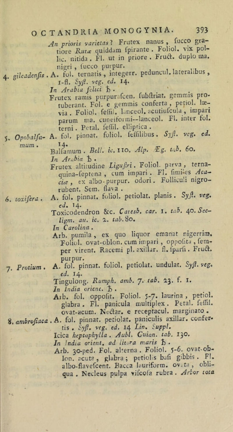 o c 4. gileadenfis . 5, Opobalfa- mum . 6, toxiferd . 7. Protium , 8. ambrojiaca TANDRIA MONOGYNIA. 393 An prioris varietas ? Frutex nanus, fucco gra- tiore Ruta: quiddam fpirante . Foliol. vix pol- lic. nitida . FI. ut in priore . Frud. duplo ma. nigri , lucco puipur. A. fol. ternaris, integerr. peduncul. lateralibus, l-fl. Syfl. veg. ed. 14. In Arabia felici , Frutex ramis purpurafeen. fubUriat. gemmis pro. tuberant. Fol. e gemmis conferta , pepol. lae- via . Foliol. felul. lanceol. acutiiifcula , impari parum ma. cuoeitoimi-—lanceol. FI. inter fol. terni. Petal. leffil. elliptica . A. fol. pinnat. foliol. ftffilibus. Syf. vcg. ed. 14. Balfamura . Bell. ic. iio. Alp. P.g. tab, 60. In Arubict 1) . Frutex altitudine LigufA . Foliol. parva , terna- quina-feptena , cum impari . Fl. fimi-les Aca^ ciet i ex albo-purpur. ociori. Folliculi nigro- rubent. Sem. flava . A. fol. pinnat. foliol. petiolat. planis . Syf. veg. ed. 14* Toxicodendron &amp;c. Catesb. car. 1. tab. 40. Oee- ligm. au. ic. 1. tab. 80. In Carolina. Arb. pumila, ex quo liquor emanat nigerrim. Foliol. ovat-oblon. cum impari , oppofita , fera- per virent. Racemi pl. axillar. fl. fparfi. Frud. purpur. A. fol. pinnat. foliol. petiolat. undulat. Syji. veg. ed. 14« Tingulong. Rumph. amb. J. tab. 23. f. I. Jn India orient. t) . Aib. fol. oppofit. Foliol. 5-7. laurina, petiol. glabra. Fl. panicula multiplex. Petal. feffil. ovat-acum. Nectar, e receptacul. marginato . . A. fol. pinnat. petiolat. paniculis axillar. confer- tis , Syfi. veg. ed. 14 Lin. Suppi. Icica heptaphylla . Aubl. Cuinn. tab. I}0. Jn India orient. ad litura maris B . Arb. 30-ped. Fol. aperna . Foliol. ')-6. ovat-ob- lon. acut? , glabra ; petiobs bafi gibbis. FI, albo-flavefcent. Bacca lauriform. ov..ta , obli- qua . Necleus pulpa vifeofa rubra . Arbor tota.