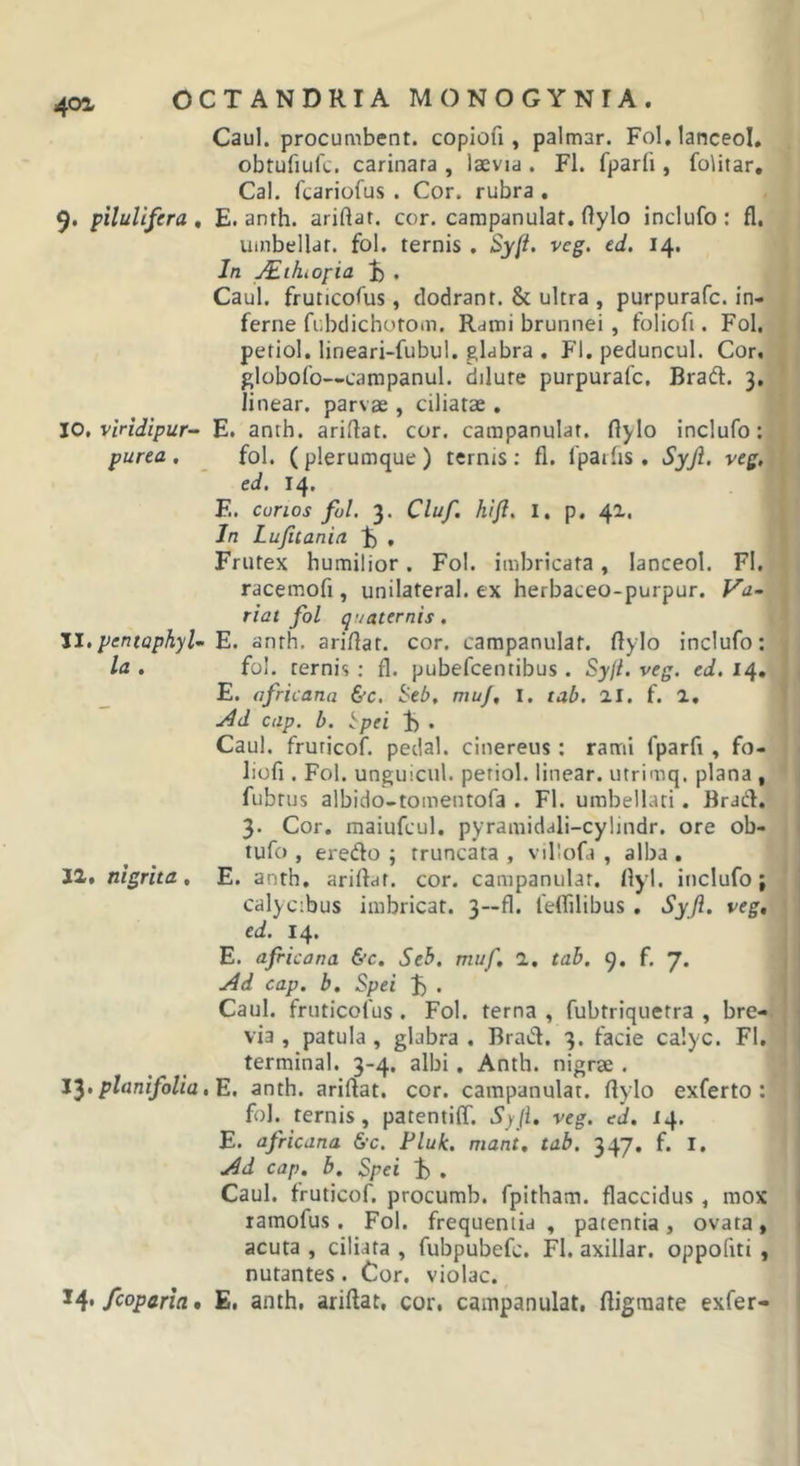 Caul. procumbent, copiou , palmar. Fol.lanceoI, obtufiulc. carinata , laevia . FI. fparfi, folitar, Cal. fcariofus . Cor. rubra , 9. piluUfera , E. anth. ariflat. cor. campanulat. ftylo inclufo : fl, uinbellar. fol. ternis , Sy(i. veg. td, 14. In ^thiOfia E . Caul. fruticofus, dodrant. &amp; ultra , purpurafc. in- ferne fubdichotom. Rami brunnei, foliofi. Fol. petiol. lineari-fubul. glabra , Fl. peduncul. Cor. globofo—campanul. dilute purpurafc. Braft. 3, linear. parvae, ciliatae , JO, viridipur- E. anth. ariflat. cor. campanulat. ftylo inclufo: purea , _ fol. (plerumque ) ternis ; fl. fpaifis. Syjl. veg, ed. 14. E. conos fol. 3. Cluf. hijl, i, p, 41, Jn Lufitania t) . Frutex humilior. Fol. imbricata, lanceol. Fl. racemofi , unilateral. ex herbaceo-purpur. Fia- riat fol quaternis. Zl.pentaphyWE. anth. ariftat. cor. campanulat. ftylo inclufo: Id . fol. ternis ; fl. pubefcentibus. Sy//. veg. ed, 14, E. africana &amp;c, l&gt;eb, mu/, I. tab. 21. f. 2, cup. b. bpei Jh . Caul. fruricof, pedal. cinereus: rami fparfi, fo- liofi . Fol. unguicul. petiol. linear. utrimq. plana , fubtus albido-tomentofa . Fl. umbellati. Braift. 3. Cor. maiufcul. pyramidali-cylindr. ore ob- tufo , eretfto ; truncata, villofa , alba. 12. nigrita, E. anth. ariftat. cor. campanulat. ftyl. inclufo; calycibus imbricat. 3—fl. feffilibus . Syjl. veg, ed. 14. E. africana 6tc. Seh. muf, 2. tab. 9. f. 7. j4d cap. b. Spei J) . Caul. fruticofus . Fol. terna , fubtriquetra , bre-. via , patula , glabra . Brad. 3. facie calyc. Fl. terminal. 3-4. albi. Anth. nigrae . planifolia ,E, anth. ariftat. cor. campanulat. ftylo exferto : fol. ternis, patentiff. Syji. veg. ed. 14. E. africana &amp;c. Pluk. mant, tab. 347. f. l, ./dd cap, b. Spei 1) . Caul. fruticof. procumb. fpitham. flaccidus, mox ramofus. Fol. frequentia , patentia, ovata, acuta , ciliata , fubpubefc. FI. axillar. oppofiti , nutantes. Cor. violae. 14* fcoparia • E. anth. ariftat, cor, campanulat, ftigraate exfer-