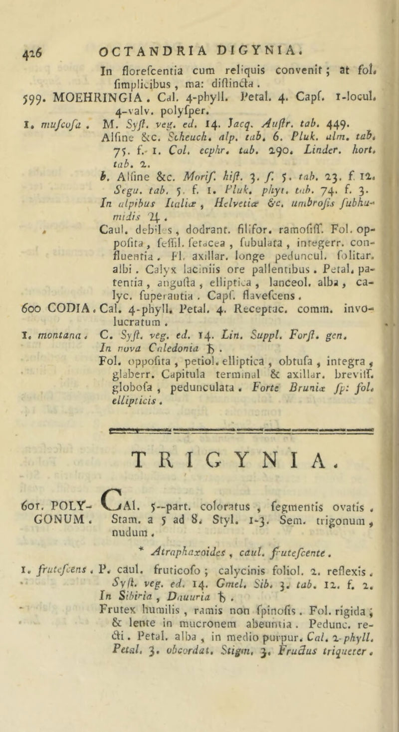 In florefcentia cum reliquis convenif; at foti fimplicibus, ma: diftincta . J99. MOEHRINGIA. Cal, 4-phyll. Retal. 4. Capf. i-locul. 4-valv. polyfper. !• mujcofd . M. Syfl. ve^. ed. 14. )acq. Aufir. tab. 449. Alfine &amp;c. Scheuck, alp, tab, 6. Pluk. ulm, tab, 75. f.- I. Coi, ecphr, tab, Linder. hort, tab. 1. b. AKine &amp;c. Mori/, hift. 3. /i J. tab. 13. f. Segu. tab. 5. f. I. Pluk, phyt. tab. 74. f. 3* In cilpibus ludite , Helvetia &amp;&lt;:, umbrojis fubhu^ midis 24 • t Caul. cleb'I(.s, dodranf. filifor. ramorifT. Fol. op- pofita, feffil. ferdCea , fubulara , inregerr. con- fluentia , Fl. axillar. longe peduncul. folitar. albi. Calyx laciniis ore pallentibus. Petah pa- tentia , angurta, elliptica, lanceol. alba, ca- lyc. fuperautiH . Capf. flavefcens. 600 CODiA.Cal. 4-phylU Petal. 4. Receptae, comm. invo- lucra tum . I, montana» C. Syji. vtg, ed. 14. Lin. Suppi. Forjl, gen. Jn tiuva Caledonia J) . Fol. oppofita , petiol. elliptica , obtufa , integra , • glaberr. Capitula terminal &amp; axillar. brevilE globofa , pedunculata . Forte BrunU fp: fol, ellipticis. T R I G Y N I A . t 60X, POLY- OjAI. 5—part. coloratus , fegraentis ovatis . GONUM. Stam. a 5 Styl. 1-3. Sem. trigonum, nudum. Atraphaxoides , caul. f utefeente . I, frutefeens , P, caul, fruricofo ; calycinis foliol. a. reflexis. •• Syli. veg. ed. 14. Gmel, Sib» 3, tab. II. f. 1, In Sihuia , Dauuria t) . Frutex humilis , ramis non Tpinofis. Fol. rigida ; ' &amp; lente in mucronem abeuntia . Pedunc. re- di. Petal. alba, in medio purpur. Cn/. a-pAyZ/. Petal, 3* obeordat, Stigm, 3, FruSus triquerer,