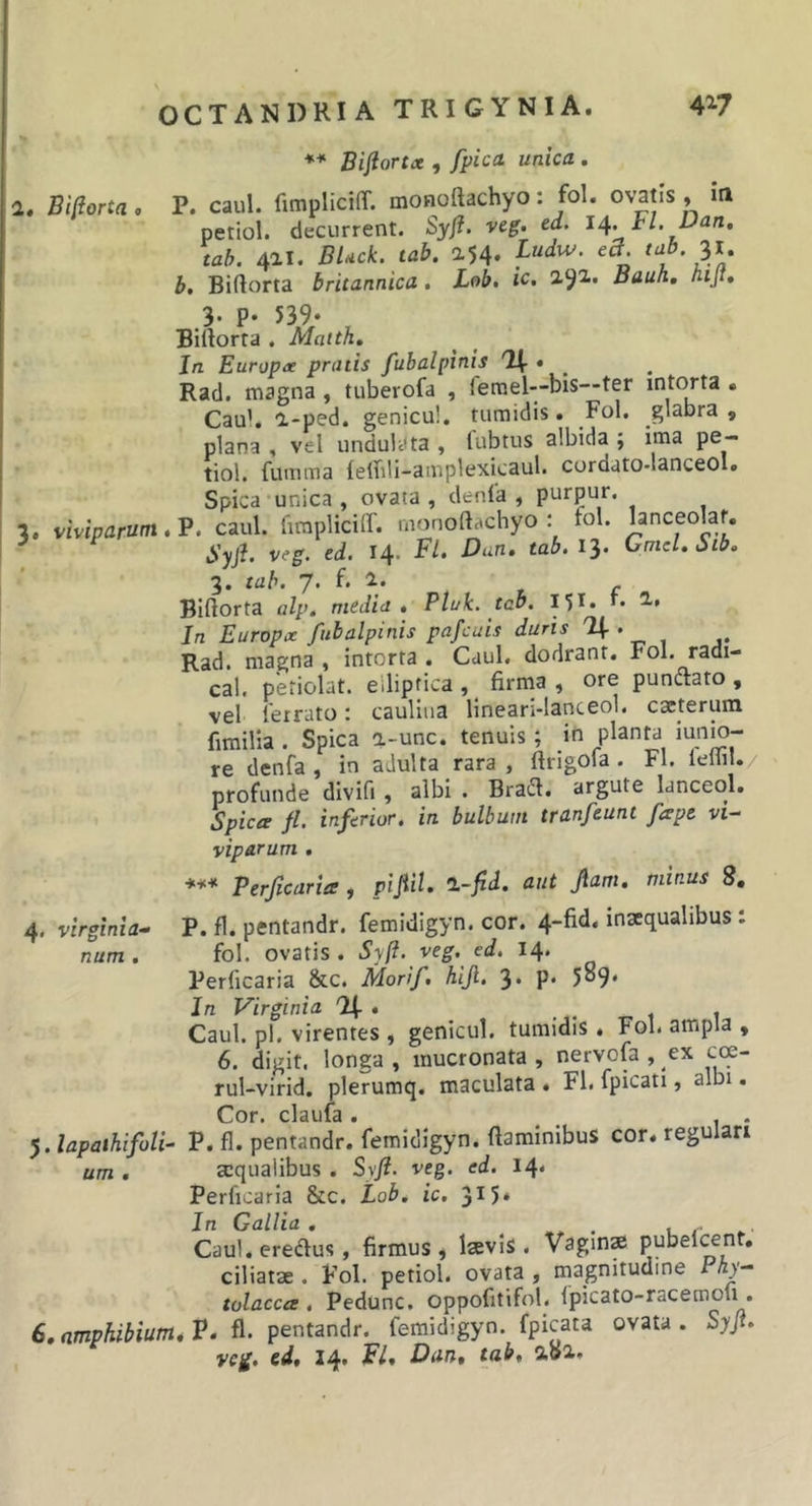 2, Bi(iorta « Bijlorta , fpica unica . P. caul. fimpliciff. mofioftachyo: fol. ovatis , iii petiol. decurrent. Syfl. veg&gt; tl. Dan, tah. 421. BUck. tab. 254- b, Biftorta britannica, Lob, ic. 291» Bauh, nijt. 3. viviparum 4. virginia- num . .3- p- 559/ , Biftorta , Maith, In Europa pratis fubalpinis '14*. Rad. magna, tuberofa , ferael—bis—ter intorta « Cau’. 2-ped. genicu!. tumidis. Fol. glabra, plana , vel undulata , fubtus albida ; ima pe- tiol, fumma {eibli-amplexicaul. cordato-lanceol. Spica‘unica, ovata, denia , purpur. , P. caul. firaplicilT. monoftachyo : rol. lanceolaf. Syjh veg. ed. 14. Fl. Dan. tab. 1'^. CmcUSib. 3« tuh. 7• * r BIftorta alp, nicdid . Pluk. tab. 15^* *• In Europa fubalpinis pafcuis duris 'H-• Rad. magna , intorta . Caul, dodrant. Fol. radi- cal. periolat. elliptica , firnia , ore punctato , vel letrato: cauliiia lineari-Ianceol. cacterum fimilia . Spica 2-unc. tenuis; }ti iunio- re denfa , in adulta rara , firigola . Fl. lellil. profunde divifi , albi . Braiil. argute lanceo^. Spica fl. inflrior, in bulbum tranfcunt fapt vi- viparum . *** Perflcaria i piflU. l-fid. aut Jiam, minus 8, P. fl. pentandr. femidigyn. cor. 4-fid, inaequalibus : fol. ovatis . Syft. veg. ed, 14. Perficaria 8ic. Morif. hlji, 3* P* 589* In Virginia . Caul. pl. virentes , genicul. tumidis . Fol, ampla , 6. digit. longa , mucronata , nervofa , ex cce- rul-virid. plerumq. maculata . Fl, fpicati, albi. Cor. claufa . , . ylapaihifoli- P. fl. pentandr. femidigyn. flaminibus cor. regulan um . scqualibus . Syft. veg. ed. 14, Perficaria &amp;c. Lob. ic. 3^5* In Gallia, . . Caul. eredtus , firmus, laevis. Vagina pubel^nt, ciliatae. Fol. petiol. ovata , magnitudine Pay- tulacca , Pedunc. oppofitifol. fpicato-racemoli. 6, nmphibium^ V, fl. pentandr. femidigyn. fpicata ovata . Syft. veg. ed, 14. Fl, Dan, tab, 202.