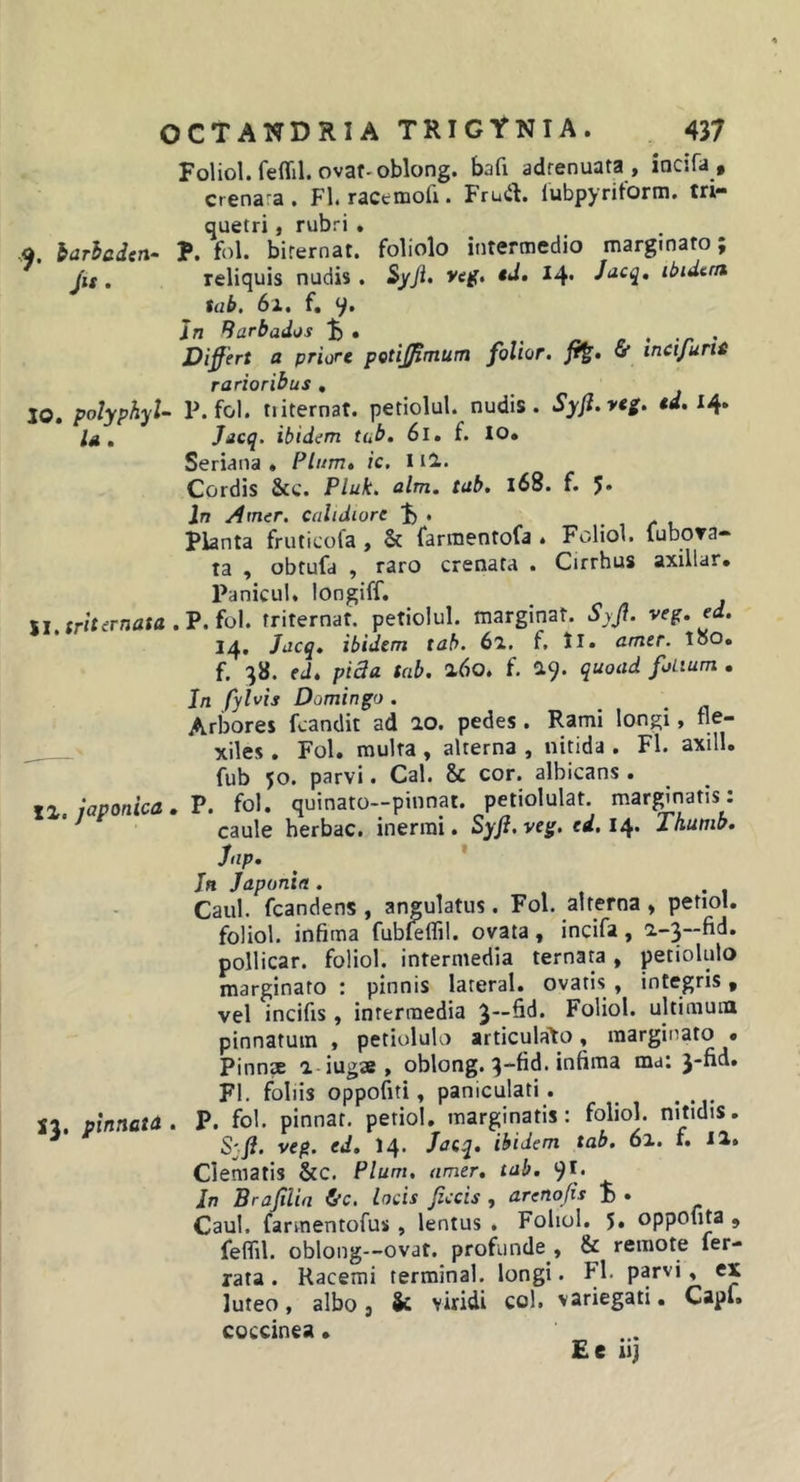 Foliol. feflil. ovat-oblong. bafi adrenuata , incsfa , crenara . Fl. racemofi. Fruit. lubpyritorm. tri- quetri , rubri , 9. iaricden- P. fol. birernat. foliolo intermedio marginato; Jis. reliquis nudis, Sy/i. veg» 14« ibidtra tiibt fi 9i In Sarbados • , n o ' r ' Differt a priore petiffimum folior. v incijuru rarioribus , 10. polyphyl- P. fol. niternat. petiolul. nudis. Syjl.yeg. td. la, Jacq. ibidem tub, 6l. f. lo. Seriana « Pium* ic. iil. Cordis &amp;c. Pluk. alm. tab. 168. f. J. In Amer, calidiore u Planta fruticofa, &amp; farroentofa • Foliol. fuboTa— ta , obtufd , raro crenata . Cirrhus axillar. Paniculi longiff, \l, triternata ,'P.fo\. triternat. petiolul. marginat. S\ff. veg. ed. 14. Jdcq, ibidem tab. 6a. f. ll. amer. loO, f. ed* pi3a tab. %6o. f. ^9. quoad foLium . In fylvis Domingo . Arbores fcandit ad 20. pedes . Rami longi, fle- xiles . Fol. multa, alterna , nitida . Fl. axill. ^ fub 50. parvi. Cal. &amp; cor. albicans . IZ. iaponica. V. fol. quinato-pinnat. petiolulat mar^natis: ^ caule herbae, inermi. Syft. veg. ed. 14. Thumb. Jap. In Japonia . Caul. fcandens , angulatus. Fol. alterna» petioi. foliol. infima fubfeflil. ovata, incifa, a-3-fid. pollicar. foliol. intermedia ternata , petiolulo marginato : pinnis lateral. ovatis , integris, vel incifis, intermedia 3—fid. Foliol. ultimum pinnatum , petiolulo articulato, marginato • Pinnae i-iugae^ oblong. infima mai j-fid« Fl. foliis oppofiti, paniculati. _ Si. pinnatd . P. fol. pinnat. petioi. marginatis: foliol. nitidis. S'ft. veg. ed, 14. Jaeq, ibidem tab. 61. f. 12* Clematis &amp;C. Pium, amer, tab. 9** In Brajilin d’c. locis jiccis , arenojis I» . Caul. farmentofus , lentus . Foliol, 5* oppolita , feflil. oblong—ovat, profunde , &amp; remote fer- rata. Racemi terminal. longi. Fl- parvi, ex luteo, albo j &amp; viridi coi. variegati. Capf. coccinea. E e iij