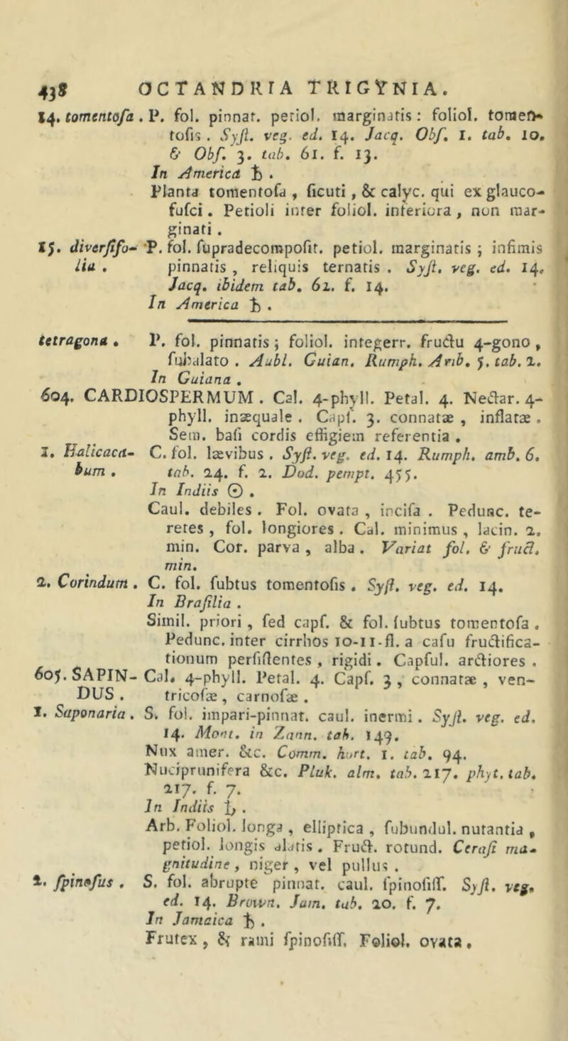 tomento fu .V. fol. pinnaf. periol. marginaris: foHoI. toruefV tofis . Syji. veg. ed, 14. Jacq. Obf, I. tab, 10, 6* Obf. 3. tab. 61. f. 13. In ydmericd t) . Planta tomentofa , ficuti, &amp; calyc. qui exglauco- fufci. Petioli inter foliol. interiora, non mar- ginati . 15. t/ivaryT^-‘P. fol. fupradecompofit. petiol. marginatis; infimis lid , pinnatis , reliquis ternatis . Syji, veg. ed. 14, Jacq. ibidem tab, 6i. f. 14. In America . tetragona • P. fol. pinnatis; foliol. integerr. frudu 4-gono , fnJ^cilato . Aubl, Cuian. Rumph. Anb, tab. 1. In Guiana . 604. CARDIOSPERMUM. Cal. 4-phyll. Petal. 4. Nedar. 4- phyll. inaequale . Capf. 3. connatae , inflatae. Sem. bafi cordis effigiem referentia . I, lialicaca- C. fol. laevibus. Syfi.veg. 14. Rumph, amb.6, bum , tab. 2.4. f. 2. £)od, pempt. 455. In Indiis © . Caul. debiles . Fol. ovata , incifa . Pedunc. te- retes , fol. longiores . Cal. minimus , lacin. 2, min. Cor. parva , alba . Variat fol. &amp; fruB. min. 2.. Corindum, C. fol. fubtus tomentofis. Sy(l. veg. ed. 14, In Brajilia . Simii, priori, fed capf. &amp; fol. fubtus tomentofa , Pedunc. inter cirrhos lo-i i-fl. a cafu fructifica- tionum perfiflentes , rigidi. Capful. ardiores . 605. SAPIN- Ci)l« 4-phyll. Petal. 4. Capf. 3 , connatae , ven- DUS . tricofae , carnofae . 1. Saponaria. S. fol. impari-pinnat. caul. inermi. Syjl. veg. ed. I4‘ Mont. in Zann. tab. I49. Nux amer. &amp;c. Comrn. hart. i. tab. 94. Nuciprunifera &amp;c. Pluk. alm. tah.llj. phyt.tab. 117. f. 7. In Indiis • Arb, Foliol. longa , elliptica , fubundul. nutantia , petiol. longis aljtis . Frud. rotund. Ceraji ma- gnitudine, niger, vel pullus. 1. fpin»fus . S. fol. abrupte pinnat. caul. IpinofilT. Syji. veg, ed. 14. Brown. Jam. tab. 20. f. 7. In Jamaica . Frutex , ^ rami fpinofilT. Foliol. ovata,