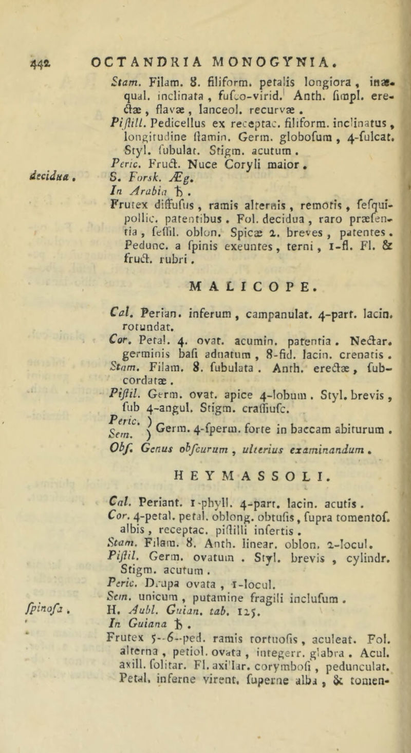 Stam. Filam. 8. filiform, petalis longiora , inas- qual. inclinata , fuf;.o-virid.' Anth. fimpl. ere- mae , flavas, lanceol. recurvae . Piftill. Pedicellus ex receptae, filiforra. inclinatus, longitudine (lamin. Gerin. globofura , 4-fulcat. Styl. fubulat. Stigm. acutum . Pene. Frud. Nuce Coryli maior. decidua , S. Forsk. JEg» In Arabia h . Frutex diffufus, ramis alternis, remotis, fefqui- pollic. patentibus. Fol. decidua , raro praelen- fia , fedil. oblon. Spicas 1. breves , patentes. Pedunc. a fpinis exeuntes, terni, i-fl. FI. &amp; frud. rubri, MALICOPE. Cal, Perian. inferum, campanulat. 4-parf. lacin. rotundat. Cor. Pera!. 4. ovat, acumln. patentia. Nedar. germinis bafi adnatum , 8-fid. lacin. crenatis . Stam. Filam. 8. fubulata . Anth. eredae, fub- cordatae . Piflil. Germ. ovat, apice 4-lobuin . Styl, brevis, fub 4-angul. Stigm. cralliufc. San“' ) 4‘(p^rm. forte in baccam abiturum . Obf, Genus obfcurum , ulterius examinandum , HEYMASSOLI. Cal. Feriant, i-phyll. 4-parr, lacin. acutis. Cor. 4-petal. petal. oblong. obtufis, fupra tomentof. albis , receptae, pidilli infertis . i^tam. Filam. 8, Anth. linear. oblon. 2.-locul. Piflil. Germ. ovatum . Styl. brevis , cylindr, Stigm. acutum . Peric. Drupa ovata , i-locul. Sern. unicum , putamine fragili inclufura . Jpinofj H. A ubi. Guian, tab, Iij. ' In Guiana , Frutex 5--6-ped, ramis tortuofis, aculeat. Fol. alterna , petiol. ovata , integerr. glabra . Acui, axill. folitar. FI. axi'Iar. corymbofi, pedunculat. Petal, inferne virent, fuperne alba , ik tomen-