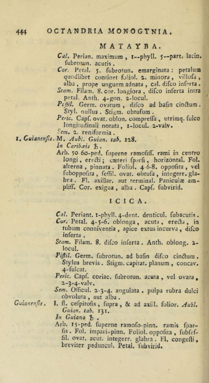 M A T A y B A. Cal, Perian. maximum , i—phyll. J—‘part. lacin. fubrofiin, acutis. Cor, Peral. 5. fubrotun. emarginata : petalum quodlibet continet folio!, a. minora , viilofd , alba , prope unguem adnata , cal. difco inP^rta , Stam. Filam. 8. cor. longiora , difco inferta intra petal. Anth. 4-gon. a-locul. Pijiil, Germ. ovatura , rlifco ad bafin cin(ftura, Styl. nullus . Stigm. obtufura . Peric. Capf. ovat, oblon. compreffa , utriraq. fulco longitudinali notata, i-locul. i-valv. Sem. 2.. reniformia . l, CuianenJis.lA, Aubl, Guian. tab. 118, In Caribieis J» , Arb. 50 60-ped. fuperne rarnofilT. rami in centro longi, eredi; caeteri fparfi, horizontal. Fol. alterna , pinnata . Foliol. 4-6-8. oppofita , vel fuboppofira , feflil. ovat, obtufa , integerr. gla- bra . FI. axillar. aut tenninal. Paniculae ara- pliff. Cor. exigua , alba. Capf. fubvirid. I C I C A . Cal. Periant. l-phyll. 4-dent. denticul. fubacutis. Cor. Petal. 4-5-6. oblonga, acuta, ereda , in tubum conniventia , apice extus incurva , difco inferta . Stam. Filam. 8. difco inferta . Anth. oblong. a- locul. PiJJil. Germ. fubrotun. ad bafin difco cindura . Stylus brevis . Stigm. capitat. planum , concav, 4'fulcat. Peric. Capf. coriac. fubrotun. acuta, vel ovata, 2.-3-4-valv, Sem. Ofiicul. 2-3-4. angulata . pulpa rubra dulci obvoluta , aut alba . Guianenfis. I. fl. cefpitofis, fupra , &amp; ad axiil. folior. AubU Guian. tab. 131. In Guiana 4) . Arb. 15-ped. fuperne ramofo-pinn. ramis fpar- fis. Fol. impari-pinn. Foliol. oppofita , fubfef- fil. ovat. acut. integerr. glabra. Fl, congefti, breviter peduncul. Peul. fubvirid.