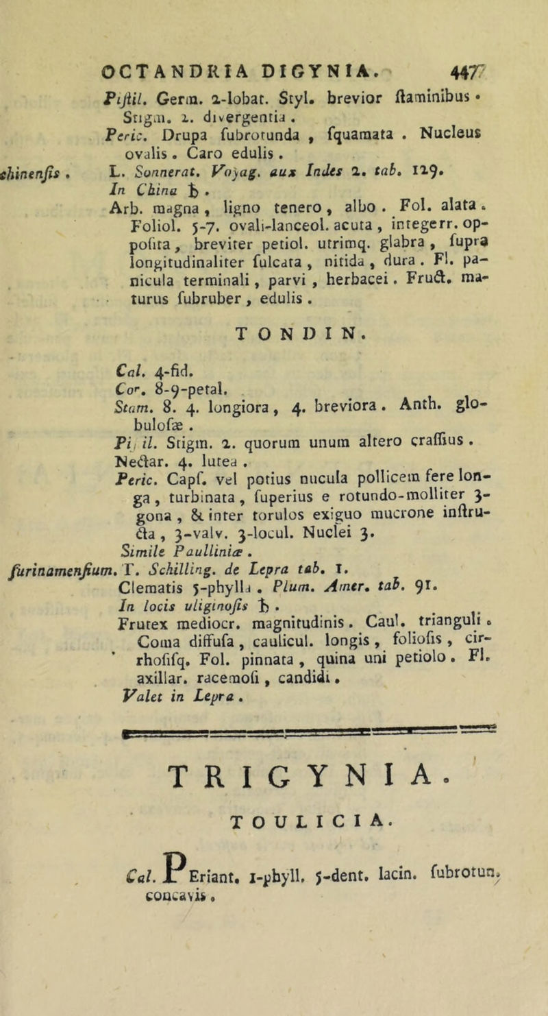 Pijiil. Genn. a-lobat. Styl. brevior flaminibus • SngiU. 1. divergentia . Peric. Drupa fubrotunda , fquaraata . Nucleus ovalis . Caro edulis. ehinenjis , L. Sonnerat. Va)ag, aux Indes 1, tab. 119» In China . Arb. magna , ligno tenero , albo . Fol. alata . Foliol. 5-7. ovali-lanceol. acuta , integerr. op- polita, breviter petiol. utrimq. glabra, fupra longitudinaliter fulcata , nitida , dura . Fb pa- nicula terminali, parvi , herbacei. Frud, ma- turus fubruber, edulis. T O N D I N . Cor, 8-9-pefal. Stam. 8. 4. longiora, 4. breviora. Anth. glo- bulofae . Pii il. Stigm. a. quorum unum altero craflius . Nedar. 4. lutea . Peric. Capf. ve! potius nucula pollicem fere lon- ga, turbinata, fuperius e rotundo-molliter 3- gona , &amp; inter torulos exiguo mucrone inftru- da , 3-valv. 3-locul. Nuclei 3. Simile PaulUniiS. furinamenjium. T. Schilling. de Lepra tab, i. Clematis 5-phylh . PLum. Amer, tab. ()l. In locis uliginojis 1) . Frutex raediocr, magnitudinis. Caul. trianguli » Coma diflfufa , caulicul. longis , foliofis , cir- rhofifq. Fol. pinnata , quina uni petiolo. FI. axillar. racemoli, candidi. Valet in Lepra , T R I G Y N I A . T o U L I C I A. Cei. P Eriant. i-phyll. j-dent. lacin. fubrotun. concavis,