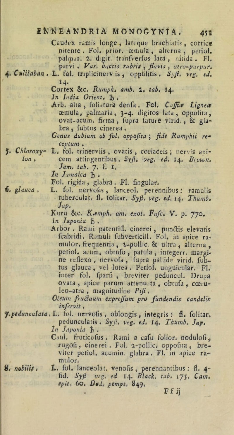 Caudex ramis longe, lattque brachiatis, coftice nitente * Fol, prior, aemula , alrerna , petiol, j pallidi. 1. cl git. tranfverfos lata , nitida . FI. I parvi « P^^ur, buccis rubris , flavis , iitro^purpur, . Culilaban , L. fol. tnplicineiV.is , oppOlitis * S^fi, ve^. ed, 14. Cortex &amp;C. Rumphi amh, 1* tabi 14» Jn India Orient, 1) . Arb. alra , foliatura denfa. Fol, CiiJRct Lignea semula, palmaria, 3-4. digitos lata, oppolita, ovat-acum, finna , Cupra lature virid,, &amp; gla- bra , fubtus cinerea. Genus dubium ob foL oppojita ; fide Rumphii re- ceptum i jit Chhroxy- L, fol. trinerviis, ovatis , coriaceis; nervis api- lon , cem attingentibus, ^yfi* veg. ed. 14. Brot^ttc Jam. tab. 7. f. I. In J tmaica J) , Fol. rigida , glabra . Fl. fingular. glauca . L. fui. nervulis, lanceol, perennibus t ramulis tubercular, fl, lolitar. Syji. -^cg. ed. 14, Thumb, Jap. Kuru &amp;c. Kampk. am. exot. Fufct V. p. 77®» In Japonia f) . Arbor. Rami patentifl. cinerei, pnndis elevatis fcabridi. Rjmuli fubverticill. Fol* in apice ra- j mulor. frequentia, i-pollic. &amp; ultra , alterna , I petiol* acUm* obtufo, patula , integerr. margi- I ne reflexo , nervofa , fupra pallide virid. fub- I tus glauca , vel lutea . Petiol, unguicular. FI. i inter fol. fparfi , breViter peduncul, Drupa j ovata , apice parum attenUjta , obtufa , coCru- leo-atra , magnitudine Pifi, Oleum fruSuum expreffum pro fundendis Candetis in fervit, 1 J.peduneulata,L. fol. nervofiS, oblongis, integris; fl. folitar. pedunculatis, Syji. veg. ed, J4. Thumb. Jap. I In Japonia J) . Cdul. fruticufus, Rami a cafu folior. nodulofi, rugofi, cinerei. FoL a-pollic, oppofita , bre- viter petiol. acumin. glabra. Fl. in apice ra~ mulor. S, mbilis i L. fol. lanceolat. venofls , perennantibus; fl. 4- fid. Syjl veg, ed 14. Black, tab. 175. Cam, tpiti 60, Dad, pempt. S49,