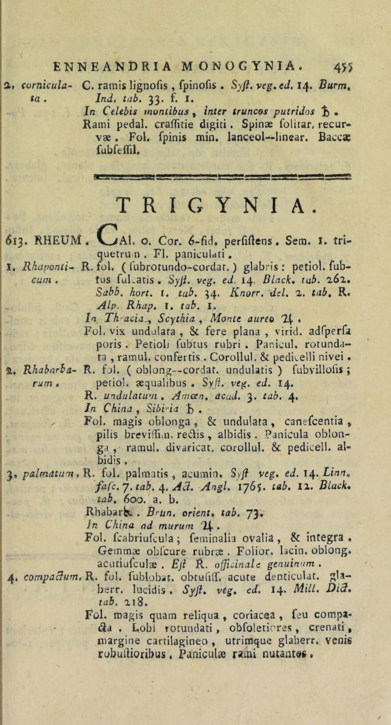 ENNEAls^DRIAMONOGYNIA. 4:^5 lii cornicula- C. ramis lignofis , fpinofis . Sj/?. veg.eJ. 14. Burm, ta . Ind, tab. 33. f. I. In Celebis montibus , inter truncos putridos ^ • Rami pedal. craflitie digiti. Spinae folitar, recur» ' vae. Fol. fpinis min. ianceoU-lmear. fiaccs fubfeffil. I ■■-IJ J ^ Illi. .Jii^ I T R I G Y N I A . 1613, RHEUM, C^Al. o. Cor. 6-fici* perfiflens, Sera. l. tri- 1 quetru n . FI. paniculdti, I. Rhaponti- R. fol. ( fubrorundo-cordar.) glabris .* petiol. fub- cum . tus ful.atis . Syji. veg. ed. 14. Black, tab. 'iS'1, Sabb, hort. I. tab. 34. Knorr. dcl, 2. tab, R. I Alp. Rhap, I. tab. l. ' In Th-acid.^ Scythia , Monte aureo 14 • Fol. vix undulata , Sc fere plana , virid. adfperfa poris. Petioli fubtus rubri . Panicul. rotunda- ta , ramul. confertis . Corollul. &amp; peditelli nivei. ft, Rhabarba- R. fol. ( oblong—cordat. undulatis ) fubvillofis ; rum 4 petiol. aequalibus. SyJi. veg. ed. 14. R. undulatum . Amcen. acuU, 3. tab. 4. Jn China , SibHa . Fol. magis oblonga , &amp; undulata , canefcentia , i pilis breviifi.n. redis , albidis . Panicula oblon- f ga , ramul. divaricat, corollul. &amp; pedicell. al- bidis . 3* palmatum ,R. fol. palmatis, acumin, Syj? veg. ed. Linn, fafc.J.tab. A3. Angi. 1765. tab. II. Black, tab. 600. a. b. Rhabarbc . Brtin. orient, tab. 73« In China ad murum Fol. fcabriufcula ; feminalia ovalia , &amp; integra . ! Gemmae oblcure rubrae. Folior. lacin. oblong. I acutiufculae . Bji R. o{ficinale genuinum . I 4. compaBum. R. fol. fublobat. obtuulf. acute denticulat. gla- I berr. lucidis . Syfl. vtg. ed. 14* bdill. DiB. j tab. ai8. i Fol. magis quam reliqua , coriacea , feu compa- [ ' da . Lobi rotundati, obfoletiores, crenati, i margine cartilagineo , utrimque glaberr, venis robuiUoribus • Panicul» raiui nutantes *