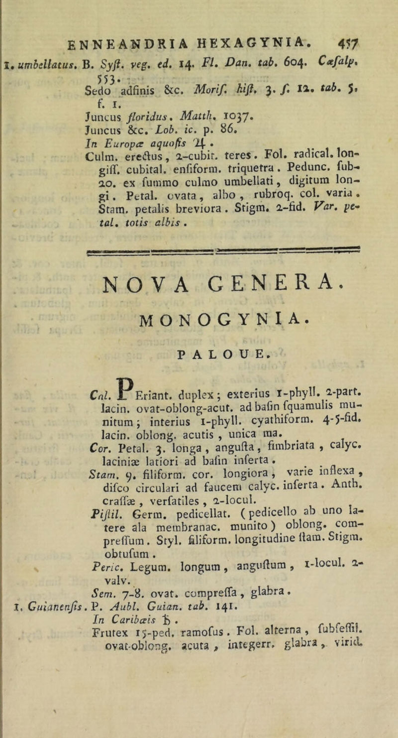 I. umhdlatus, B. Syfi. veg, (d. 14. FI, Dan, tab, 604. Cajdl^, Sedo adfinis &amp;c. Morif. hifl, 5. f, II» t^^b, J. f. I. Juncus floridus, Matth, 1037. Juncus &amp;c, Lob. ic. p. 86. In Europa aquofls '24- • Culm. eredus, 2-cubir. teres. Fol. radical. lon- gifl', cubital, enfiform. triquetra . Pedunc. fub-» ao. ex fuinmo culmo urabellati, digitum lon- gi . Pfctal. cvata, albo , rubroq. coi. varia. Stam. petalis breviora. Srigm. a-fid. Var. pe- taL, totis albis . NOVA GENERA. monogynia. p A L O U E, CrtZ. pEriant. duplex; exterius i-phyll. a-part. lacin. ovat-oblong-acut. ad bafin fquamulis mu- nitum ; interius i-phyll. cyathiform. 4-5-fid. lacin. oblong. acutis , unica ma. Cor. Petal. 3. longa, angufta, fimbriata , calyc. laciniae latiori ad bafin inferta. .. a Stam. filiform. cor. longiora , varie innexa , difco circulari ad faucem calyc. inferta. Anth. craffae , verfatlles , a-locul. Pijiil. Germ. pedicellat. (pedicello ab uno la- tere ala membranae, munito) oblong. com- preffura . Styl. filiform. longitudine Hara. Stigra. obtufum. s Peric, Legum, longum , anguHum , i-locul, a- valv. Sem. 7-8. ovat, compreffa, glabra. I, Cuianenfls .1?. Aubl. Guian. tab. 141. In Caribais 1) . r ur /rj Frutex 15-ped. ramofus. E'ol. alterna, fubieliil. ovat-obiong. acuta , integerr. glabra, viritL